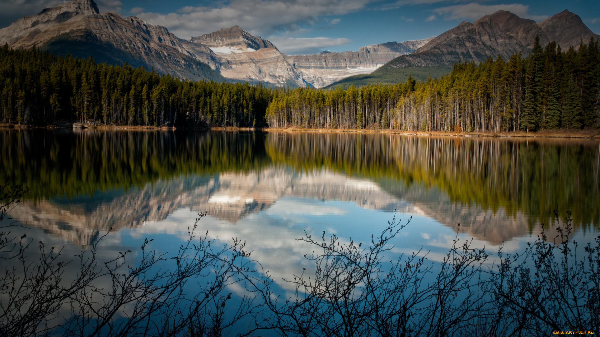 природа, реки, озера, лес, канада, озеро, горы, отражение, кусты