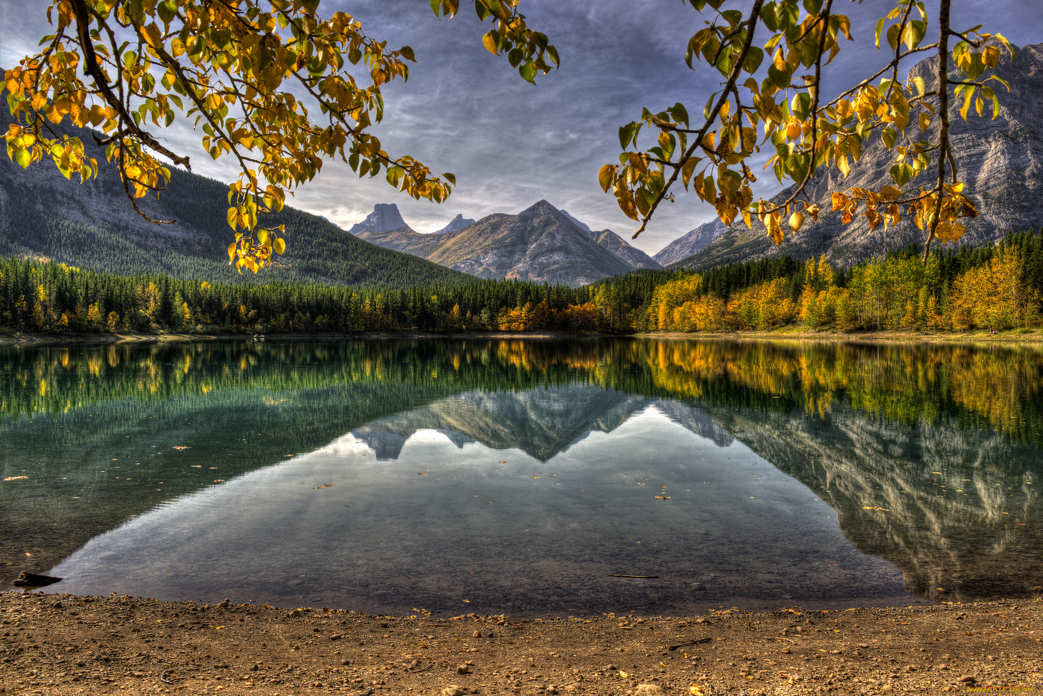 природа, реки, озера, канада, озеро, горы, отражение, ветки, листья, лес