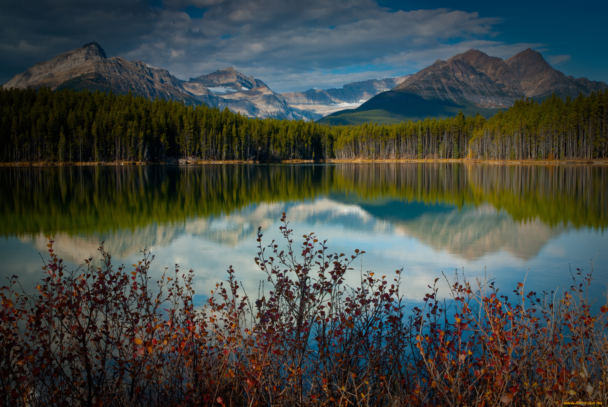 природа, реки, озера, канада, озеро, горы, отражение, лес, кусты