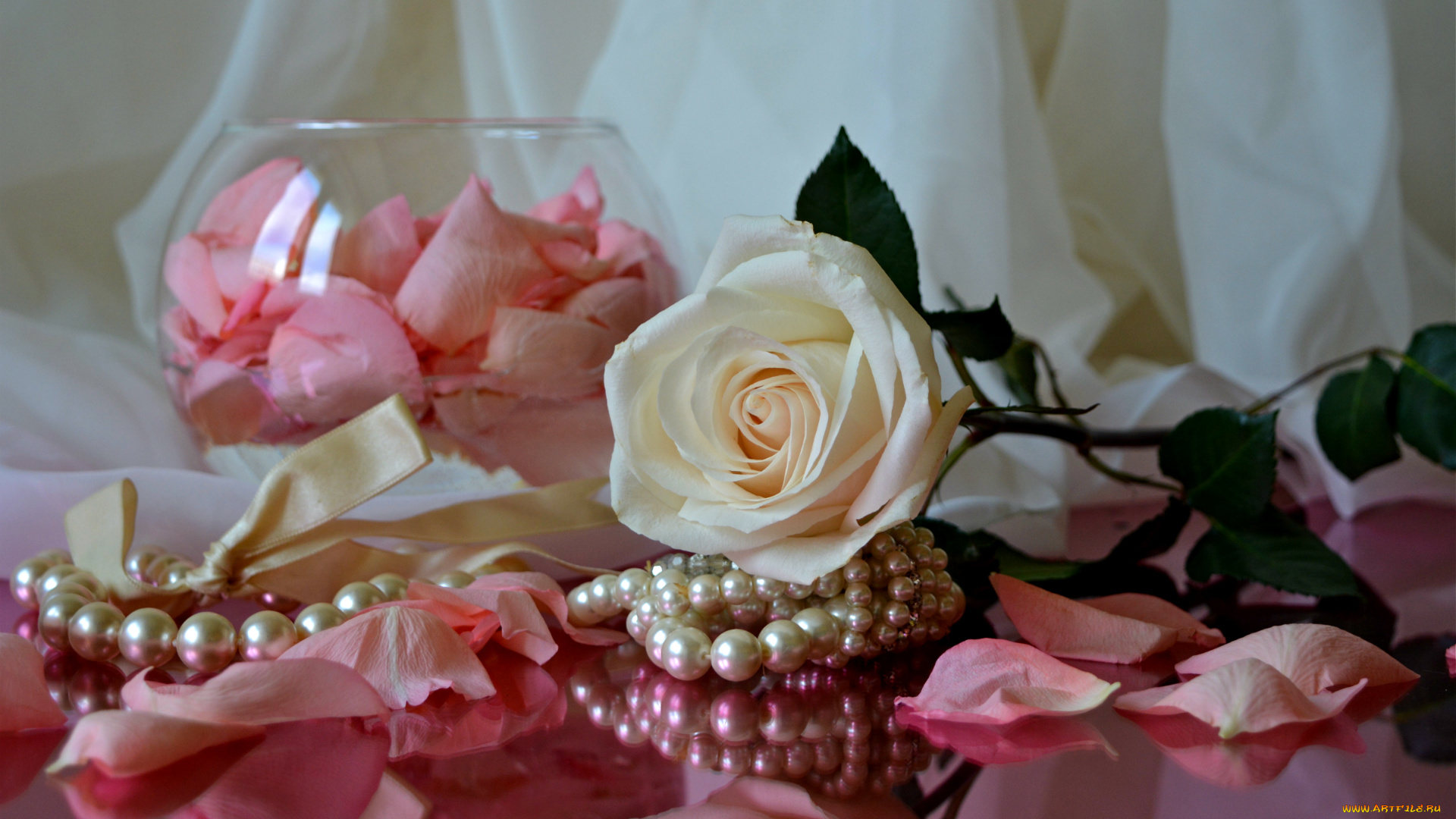 цветы, розы, лепестки, ожерелье, ткань, роза