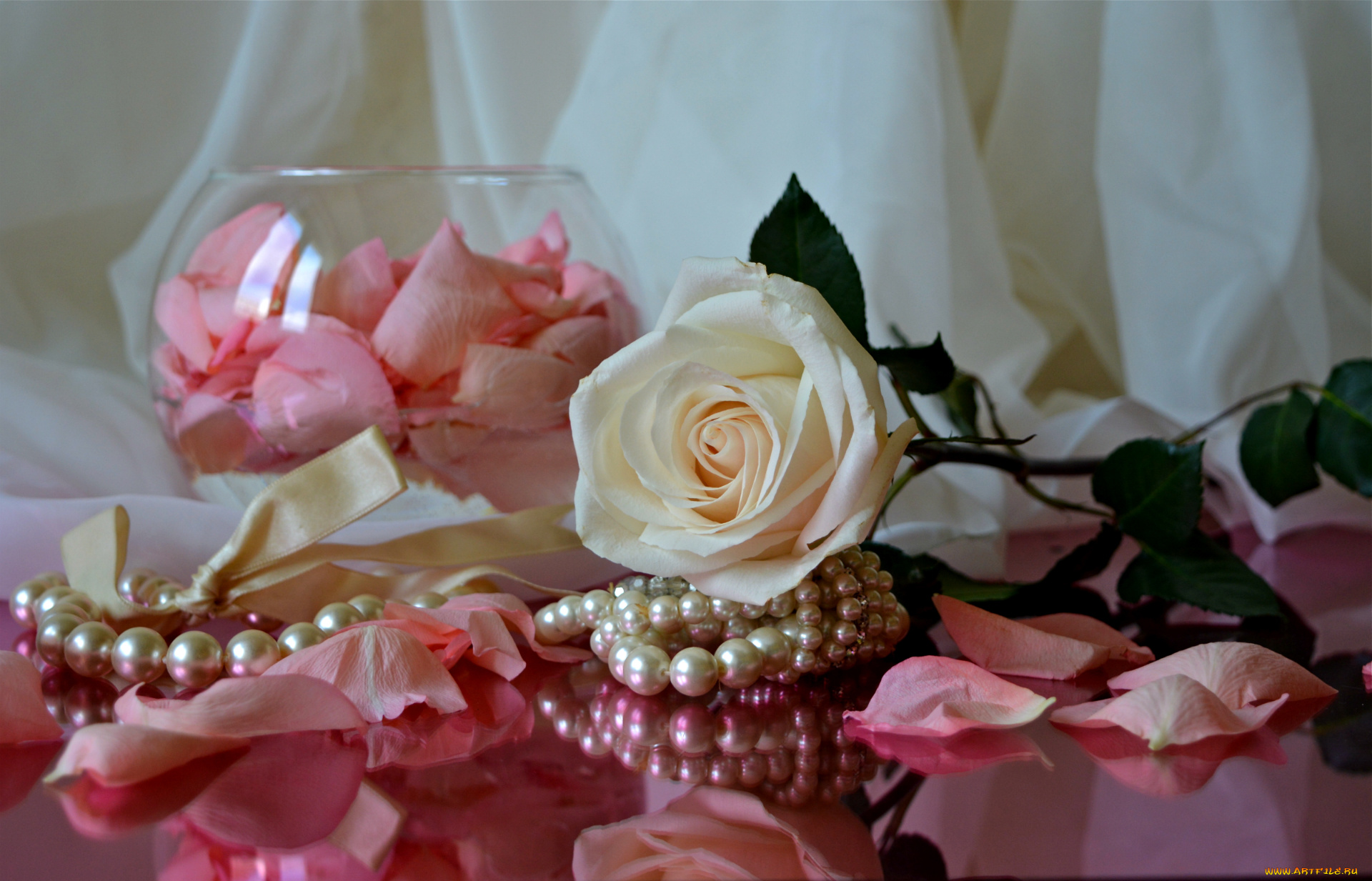 цветы, розы, лепестки, ожерелье, ткань, роза