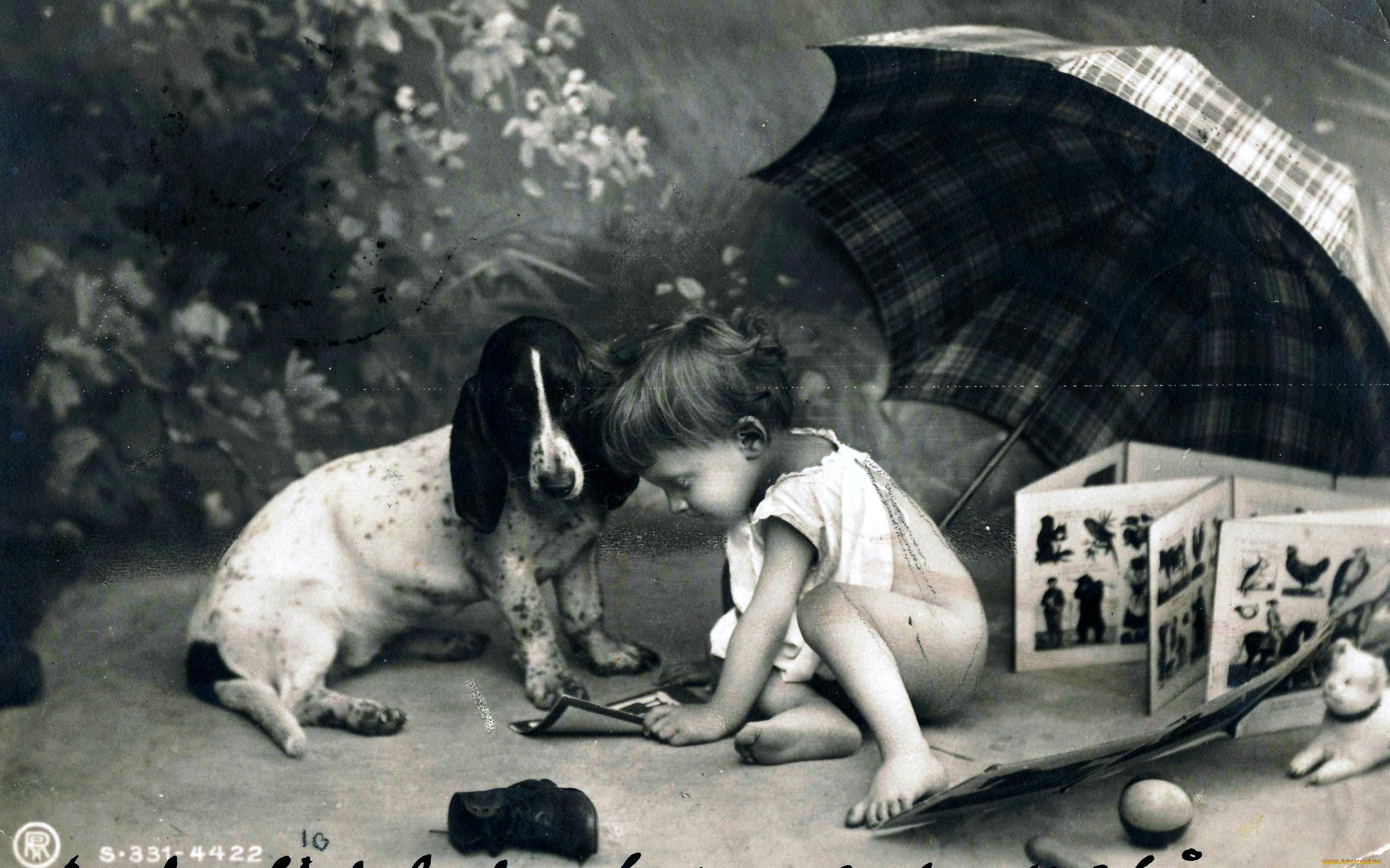 разное, ретро, , винтаж, собака, зонт, черно-белая, книга, игрушки, открытка, ребенок