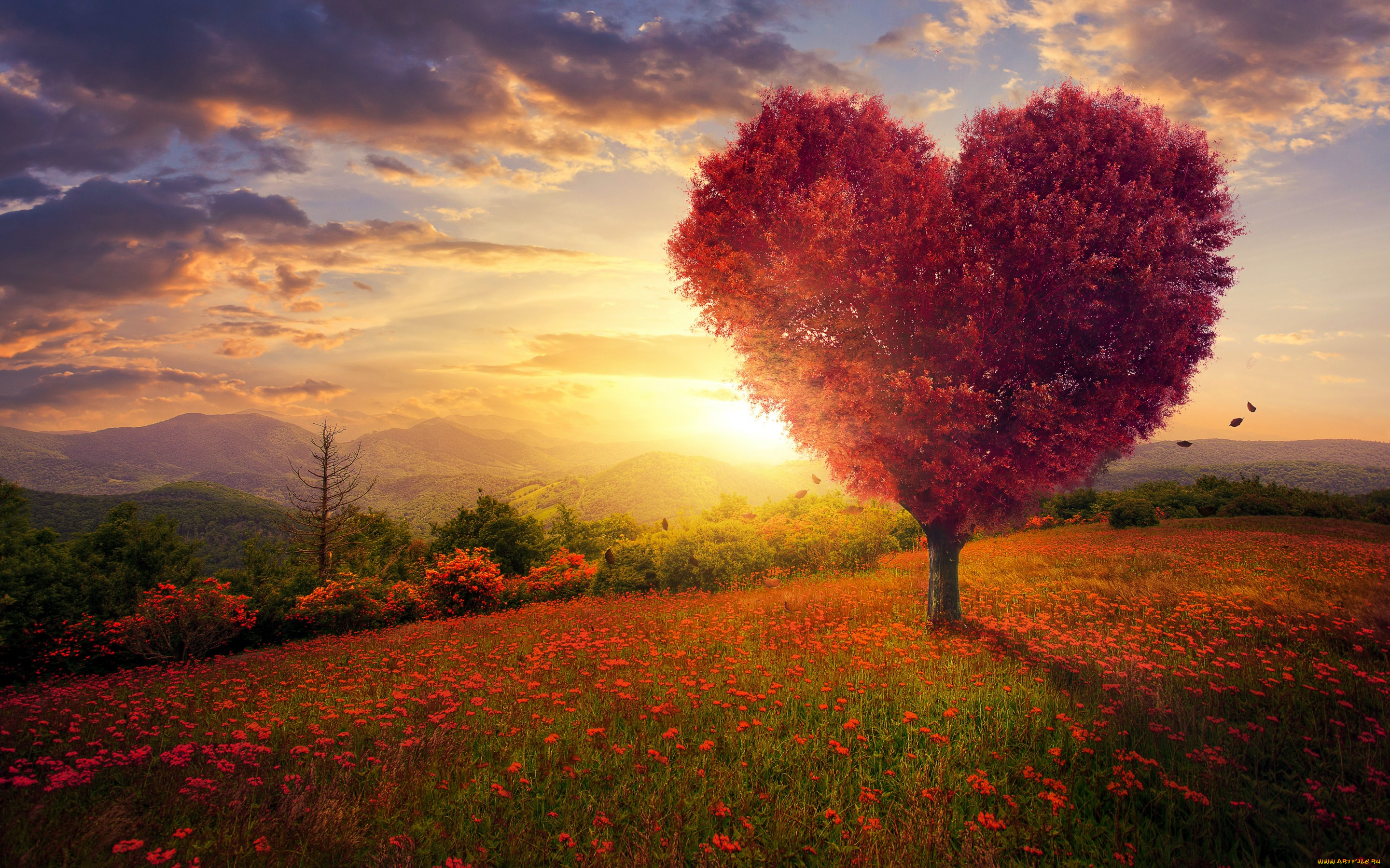 разное, компьютерный, дизайн, поле, небо, трава, любовь, цветы, дерево, сердце, love, field, landscape, heart, pink, blossom, flowers, beautiful, tree, romantic