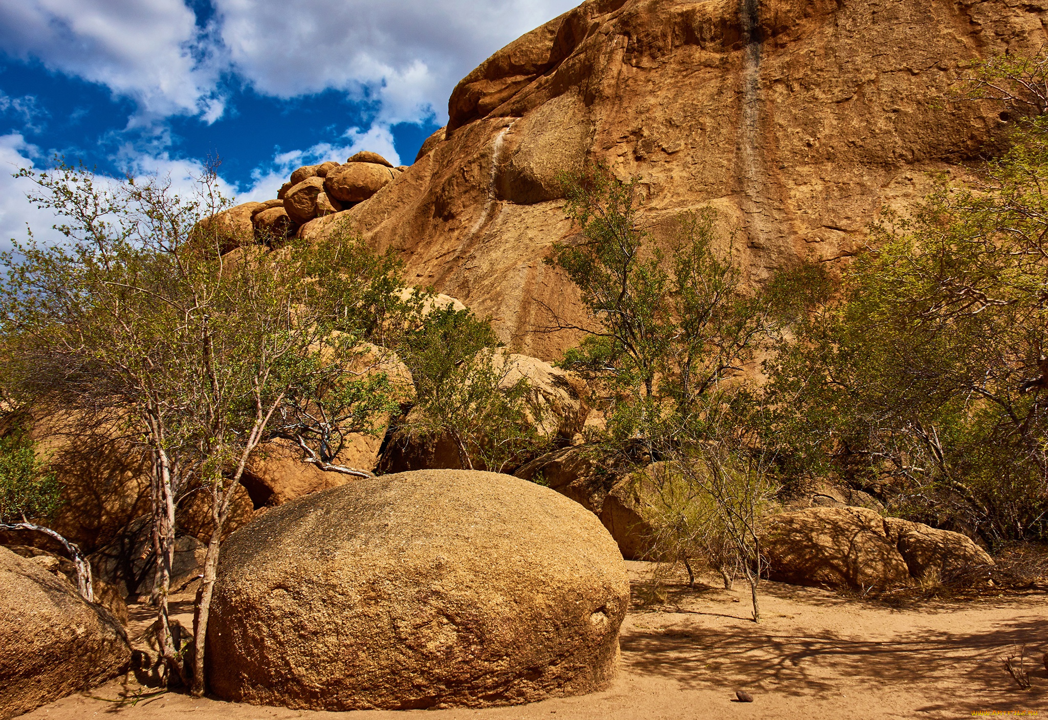 природа, горы, namibia, намибия, erongo, эронго, деревья, mountain, солнце, облака, скалы, небо, камни