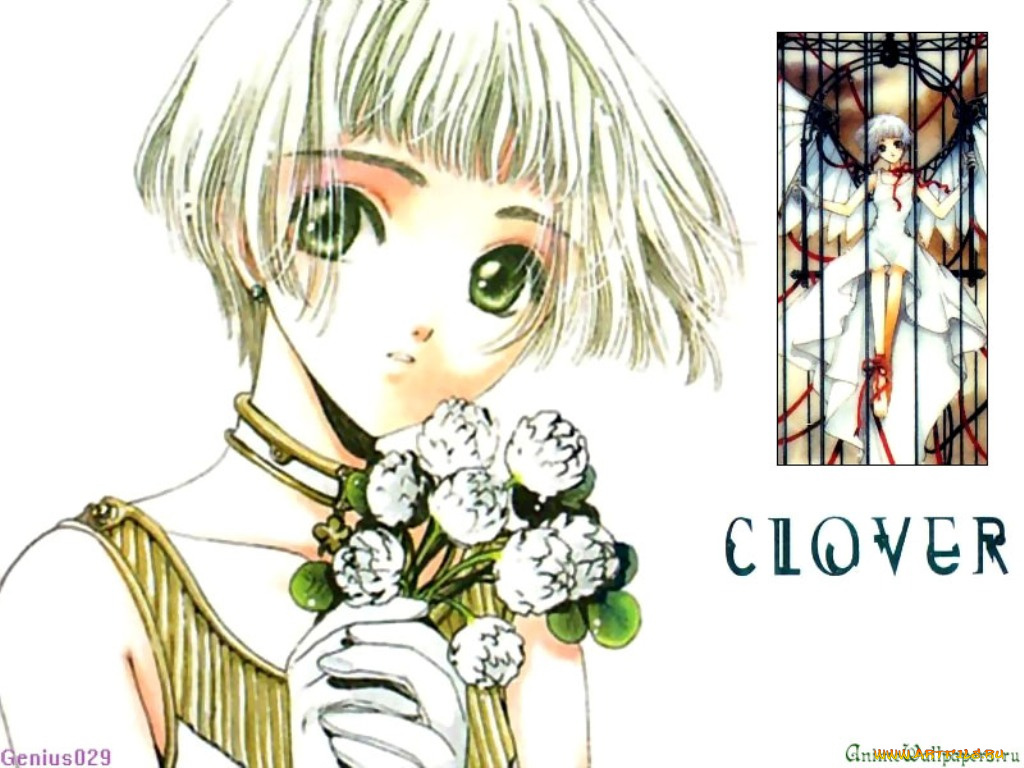 аниме, clover