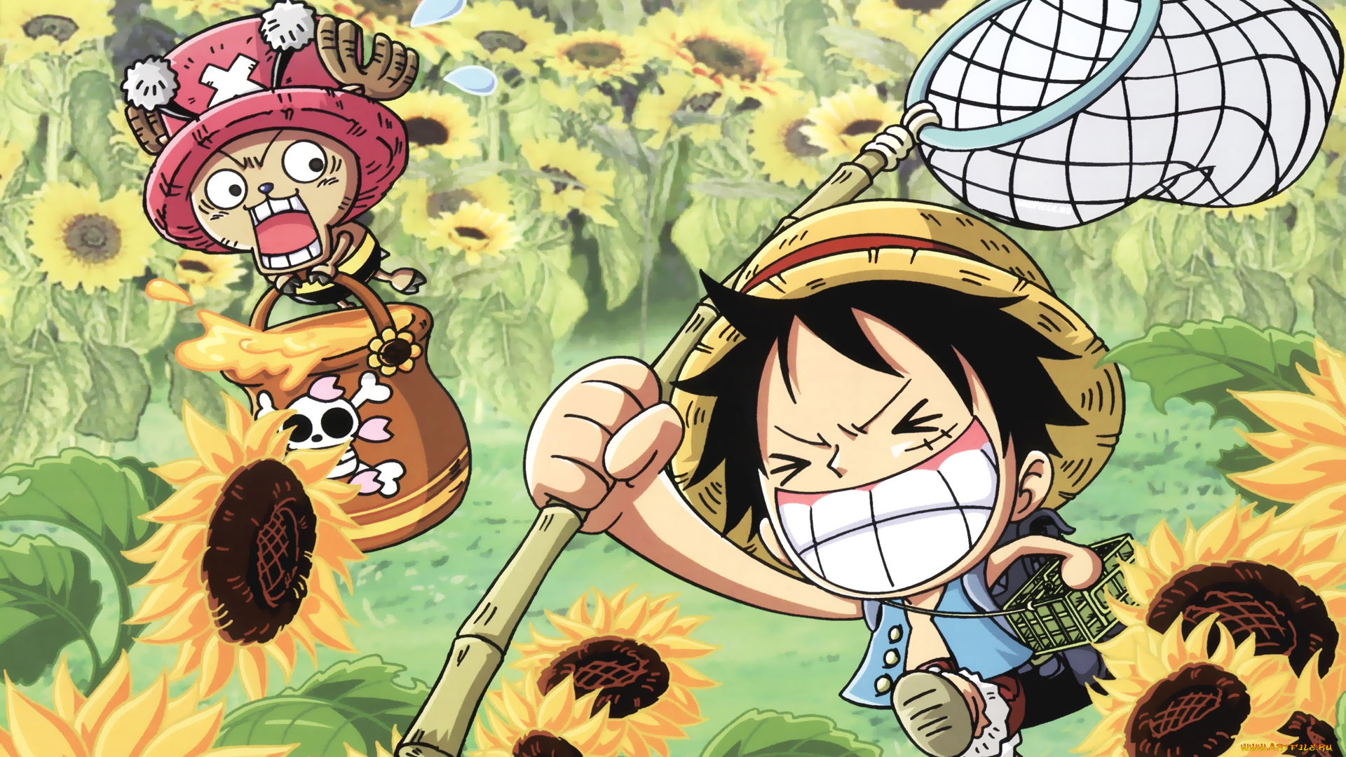 аниме, one, piece, сачек, подсолнухи, monkey, d, luffy, chopper