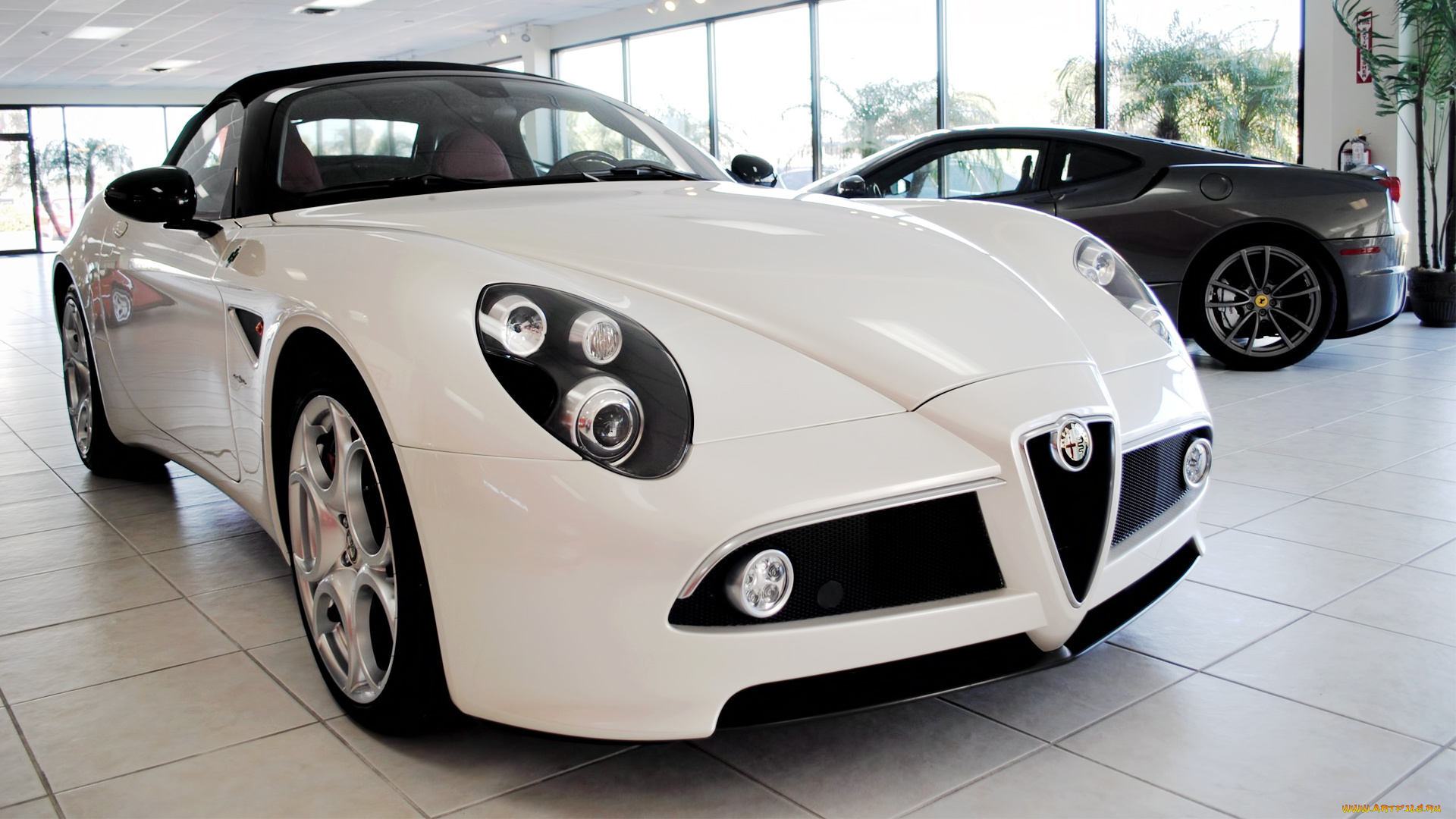 alfa, romeo, 8c, competizione, автомобили, выставки, уличные, фото, италия, fiat, group