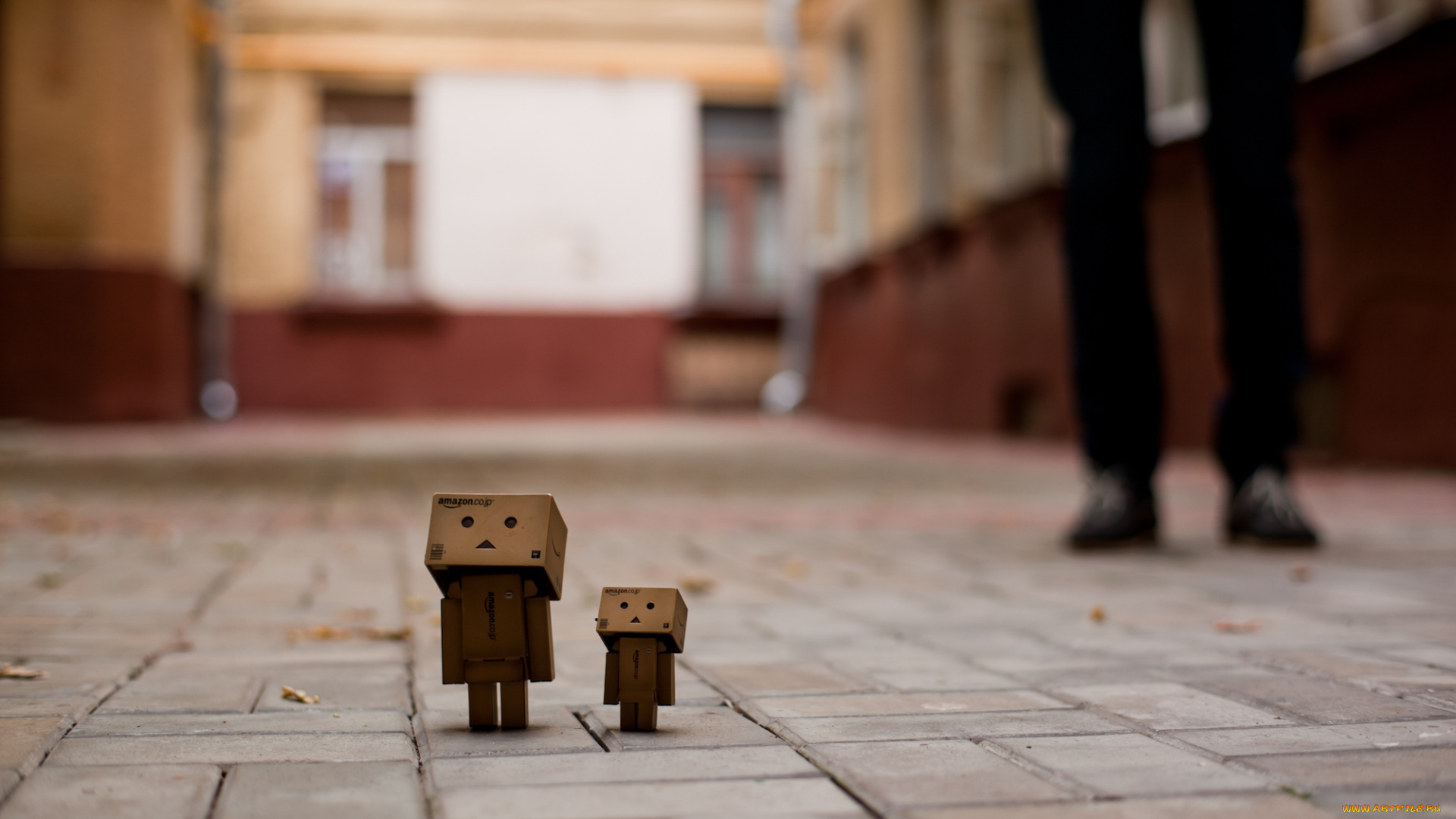 разное, данбо, danboard, коробочки, улица