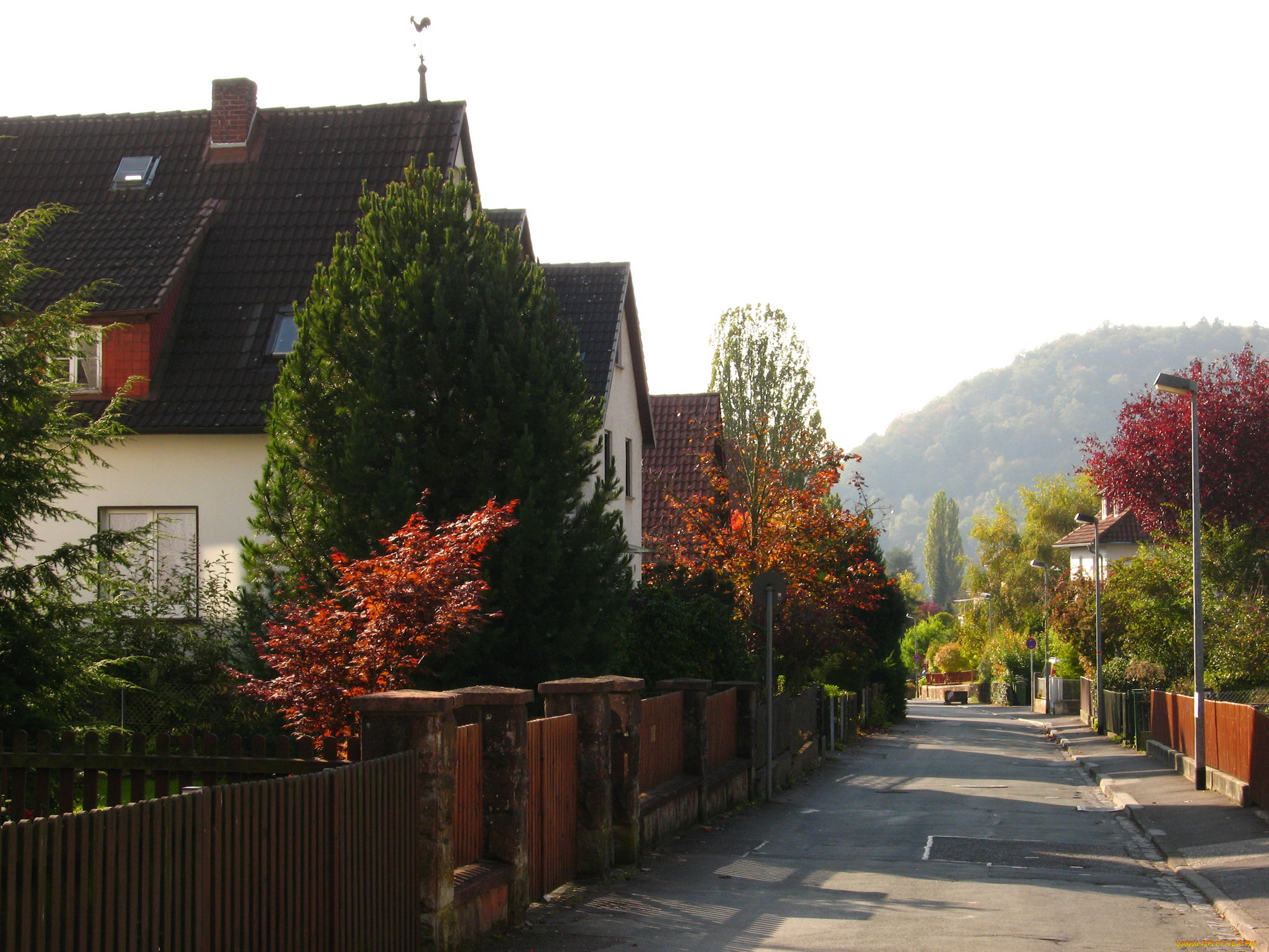 marburg, germany, города, улицы, площади, набережные, дома, улица, цветы, деревья