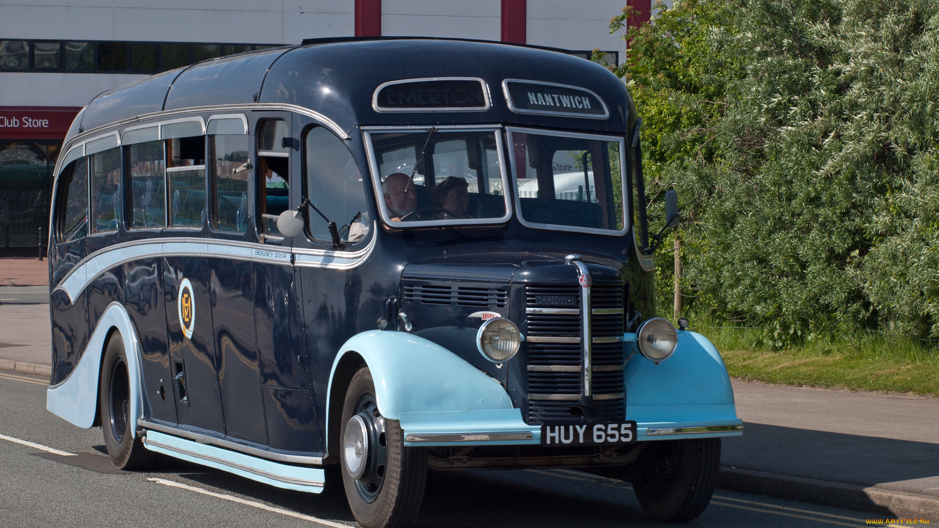 1950, bedford, obduple, emmerton, motors-, bounty, country, coaches, автомобили, автобусы, общественный, транспорт, автобус