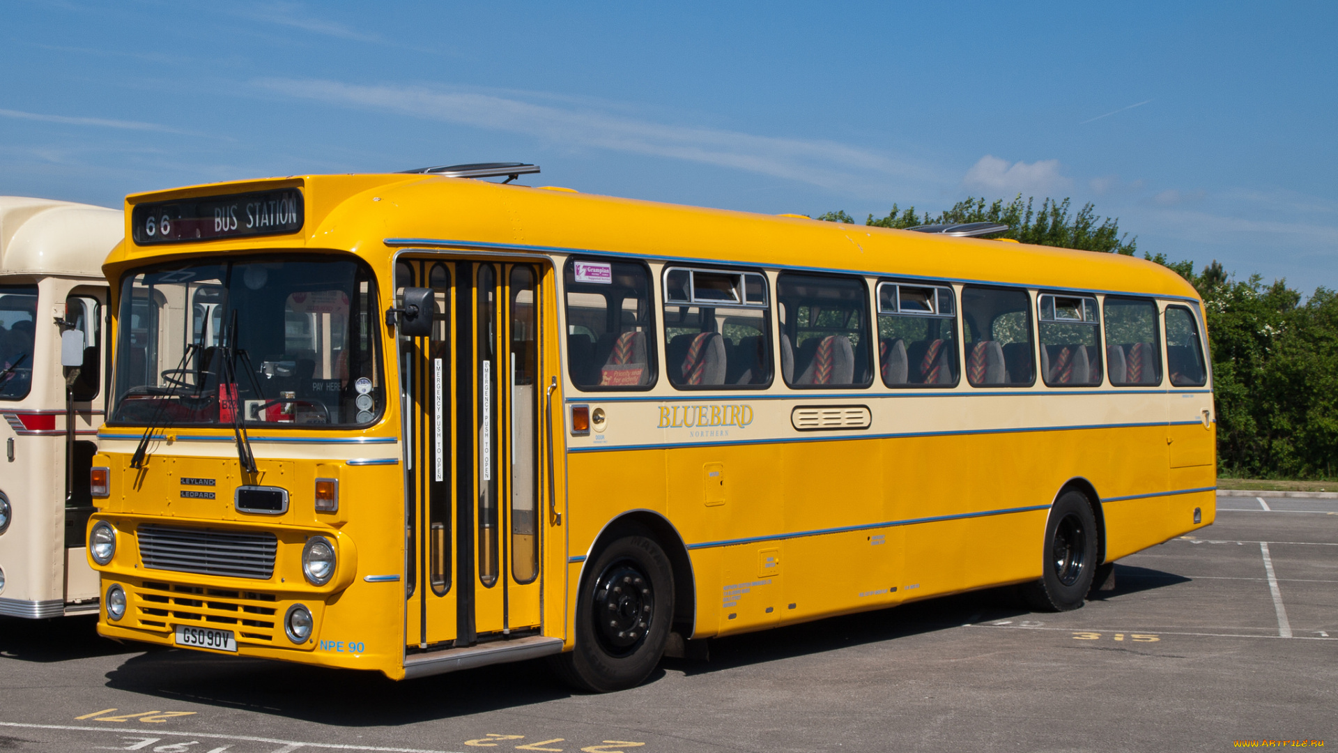 1980, leyland, leopardalexander, northern, scottish, npe90, автомобили, автобусы, общественный, транспорт, автобус