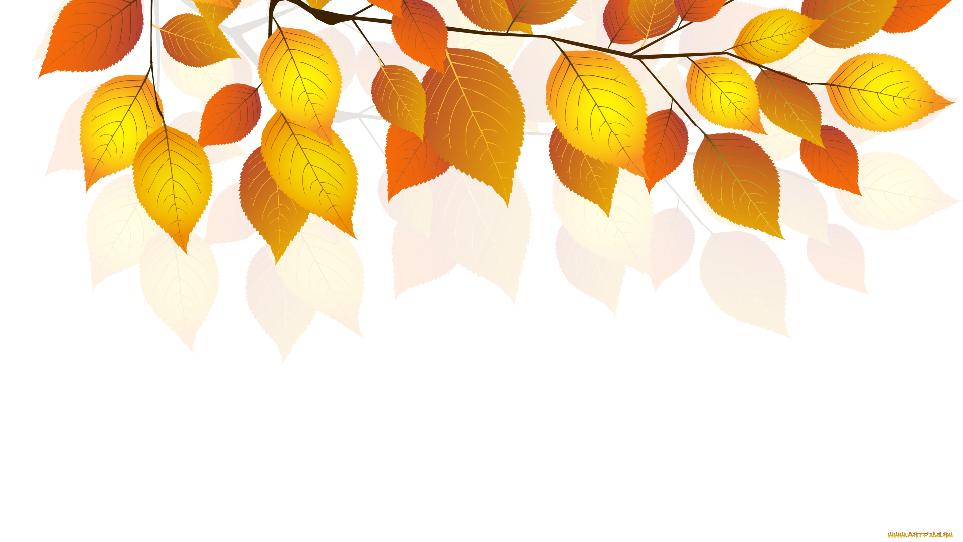 векторная, графика, природа, twigs, белый, фон, осень, листья, веточка, autumn, white, background, leaves