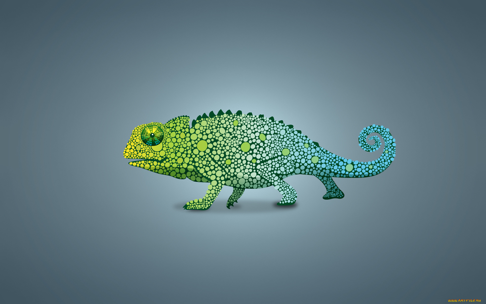 рисованные, минимализм, chameleon, зеленый, ящер, хамелеон