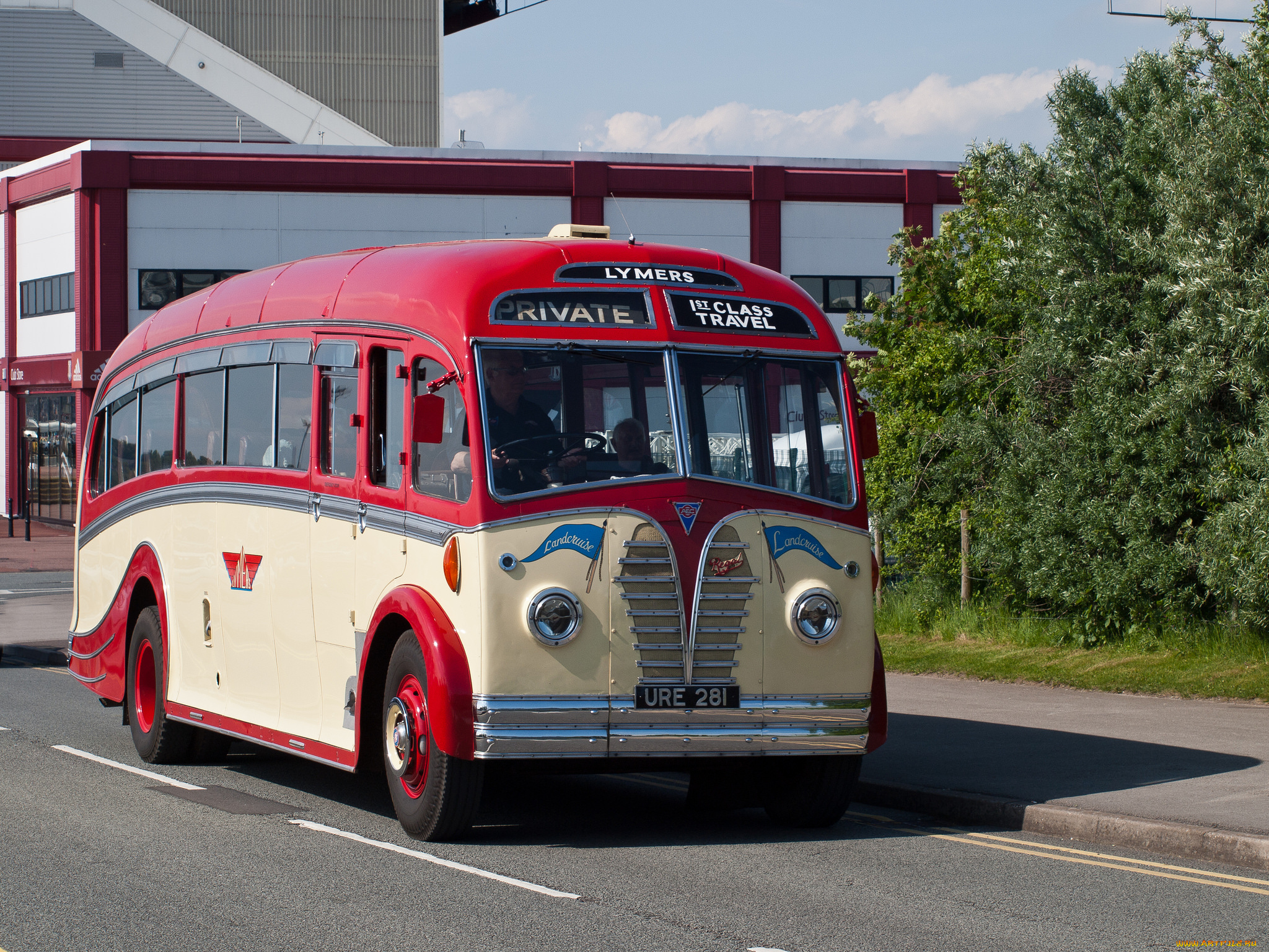 1950, aec, regal, lllharrington, lymers, of, tean, автомобили, автобусы, общественный, транспорт, автобус