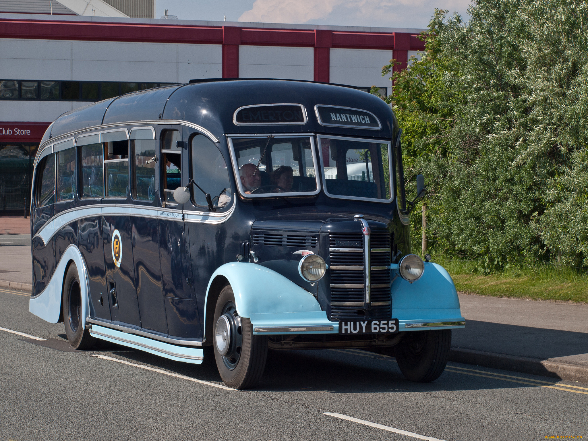 1950, bedford, obduple, emmerton, motors-, bounty, country, coaches, автомобили, автобусы, общественный, транспорт, автобус