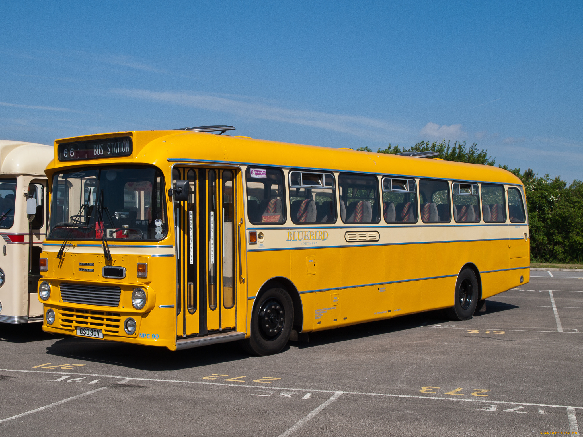 1980, leyland, leopardalexander, northern, scottish, npe90, автомобили, автобусы, общественный, транспорт, автобус