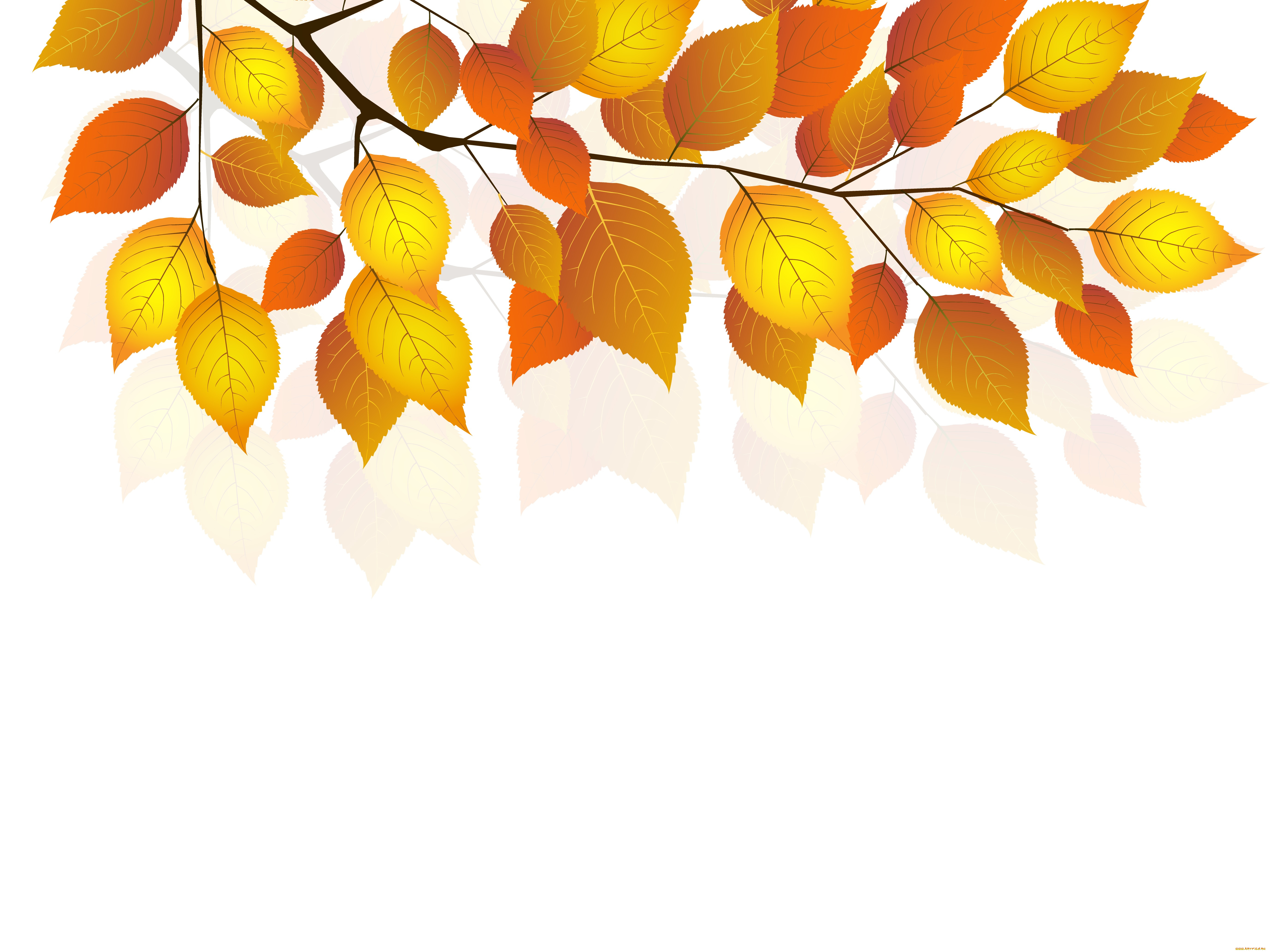 векторная, графика, природа, twigs, белый, фон, осень, листья, веточка, autumn, white, background, leaves
