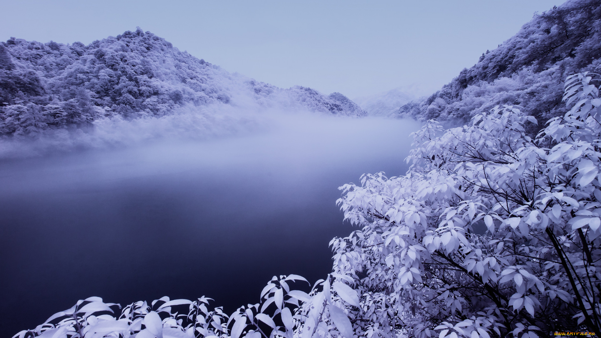 природа, реки, озера, деревья, снег, winter, river, snow, зимний, пейзаж, река, зима, view, trees