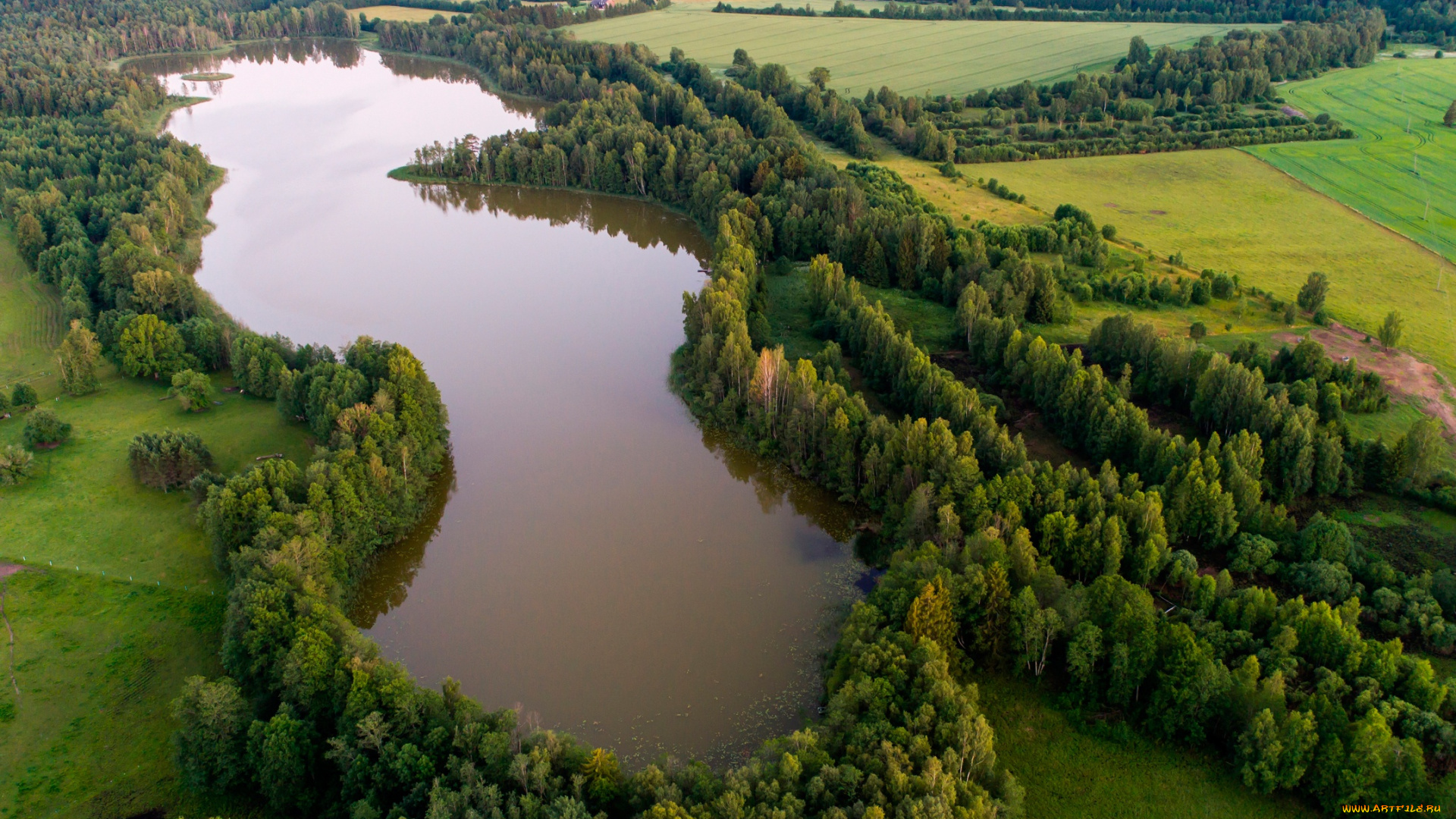 природа, реки, озера, поля, lake, kuuni, озеро, вид, сверху, эстония, деревья, лес