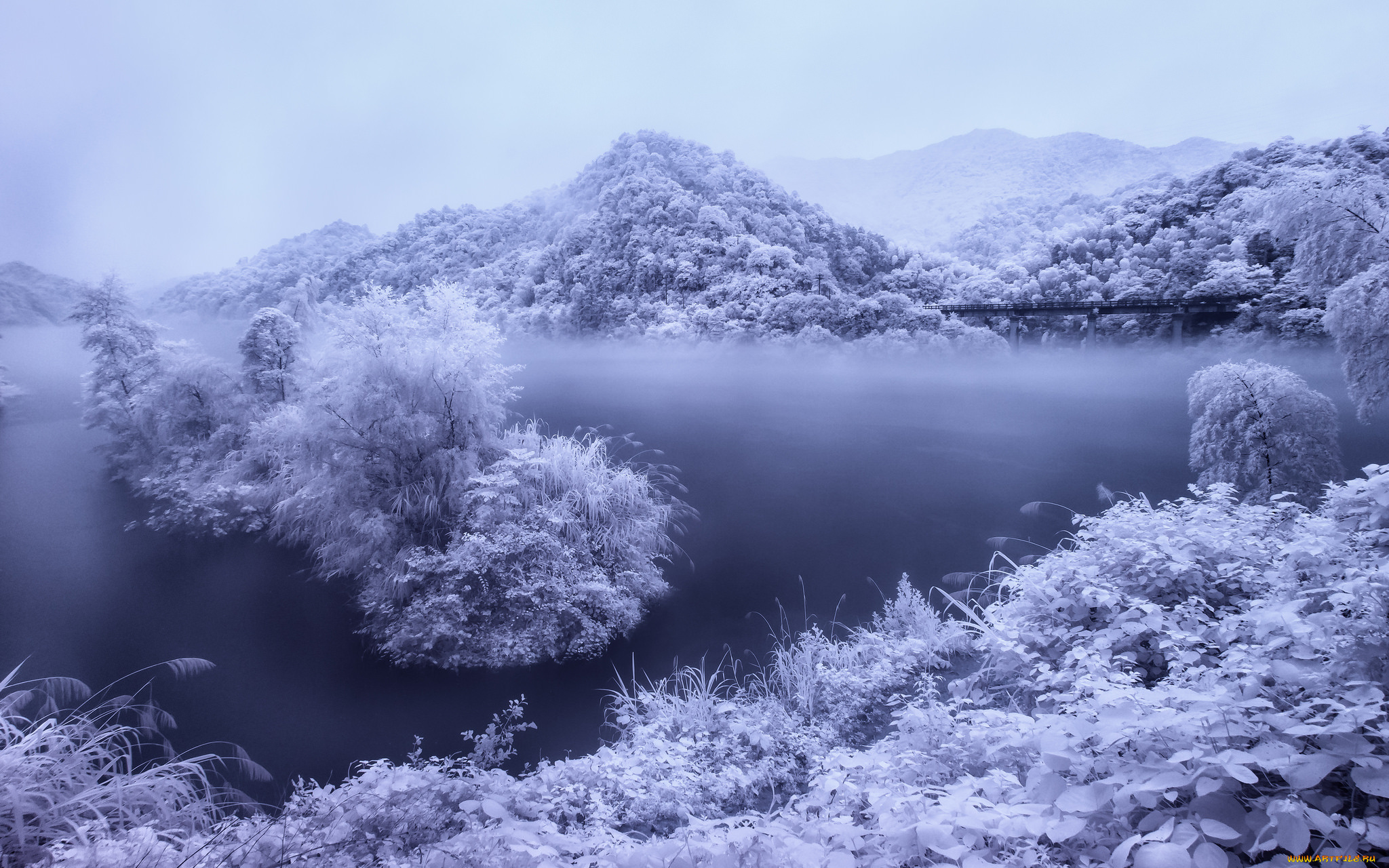 природа, реки, озера, trees, зимний, пейзаж, snow, river, winter, снег, деревья, река, зима, view