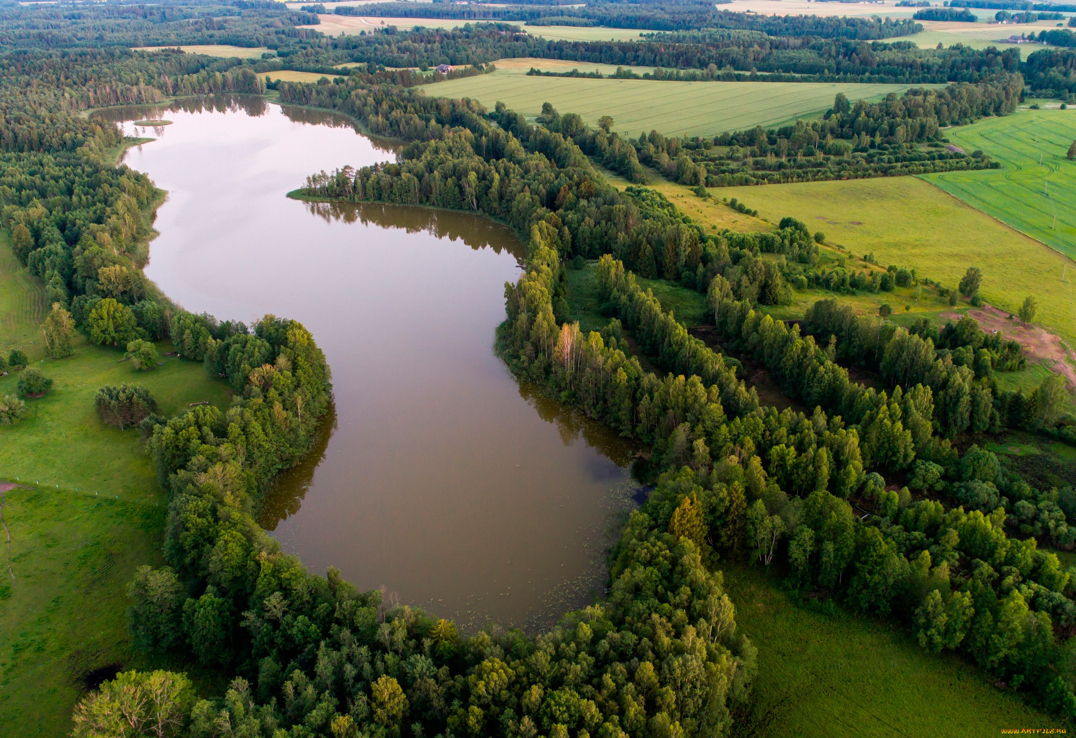 природа, реки, озера, поля, lake, kuuni, озеро, вид, сверху, эстония, деревья, лес