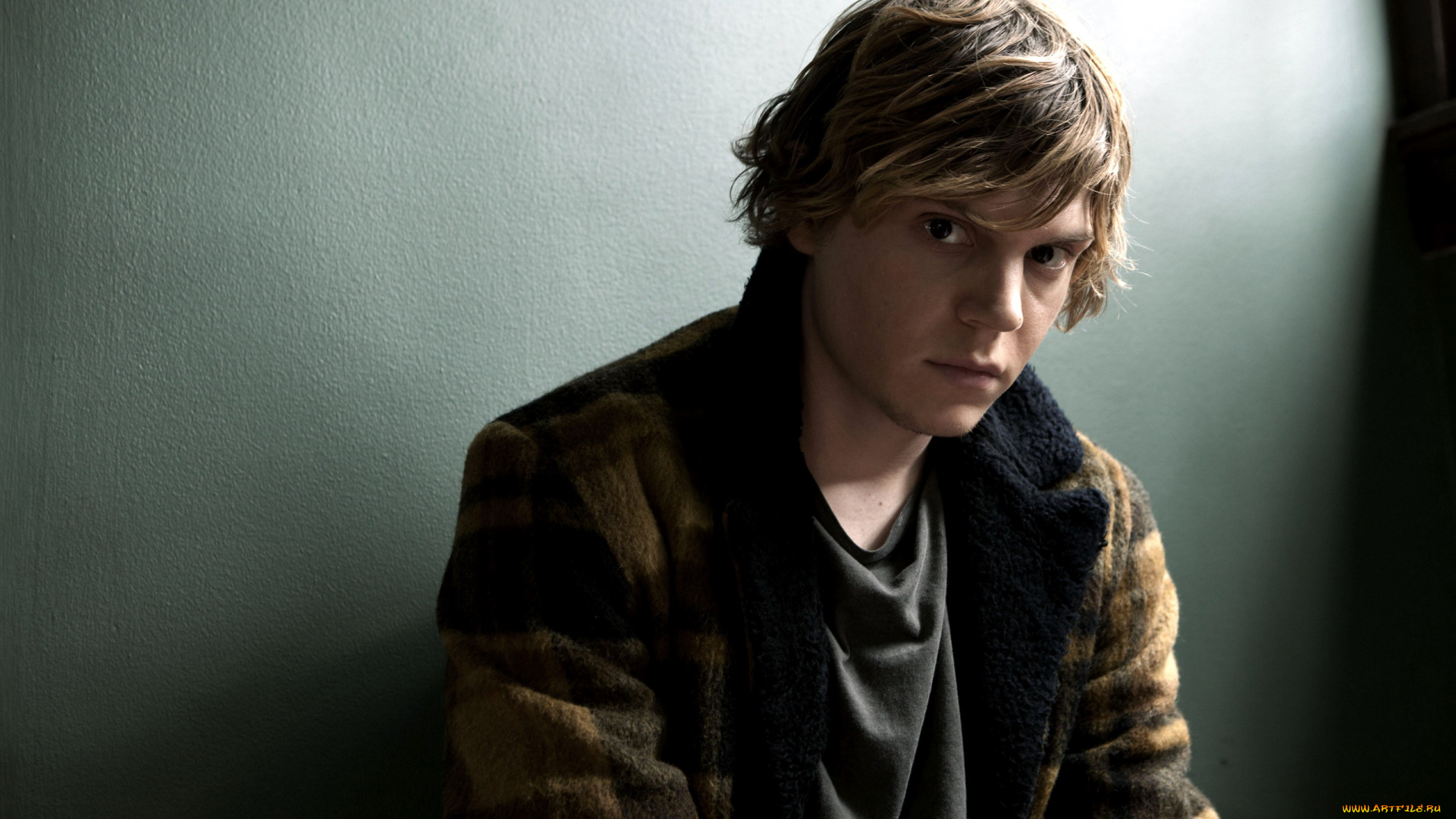 evan, peters, мужчины, -, unsort, evan, peters