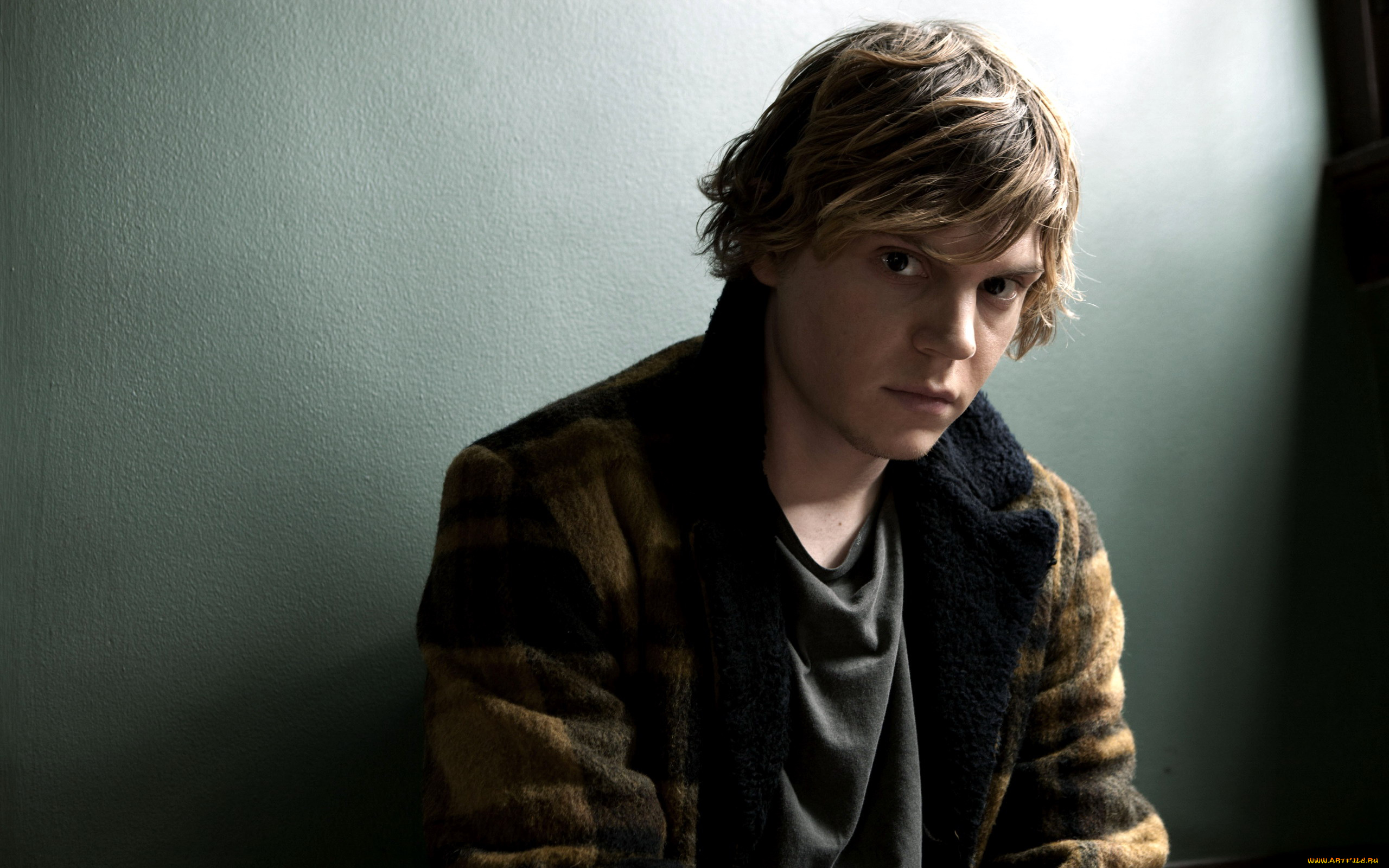 evan, peters, мужчины, -, unsort, evan, peters