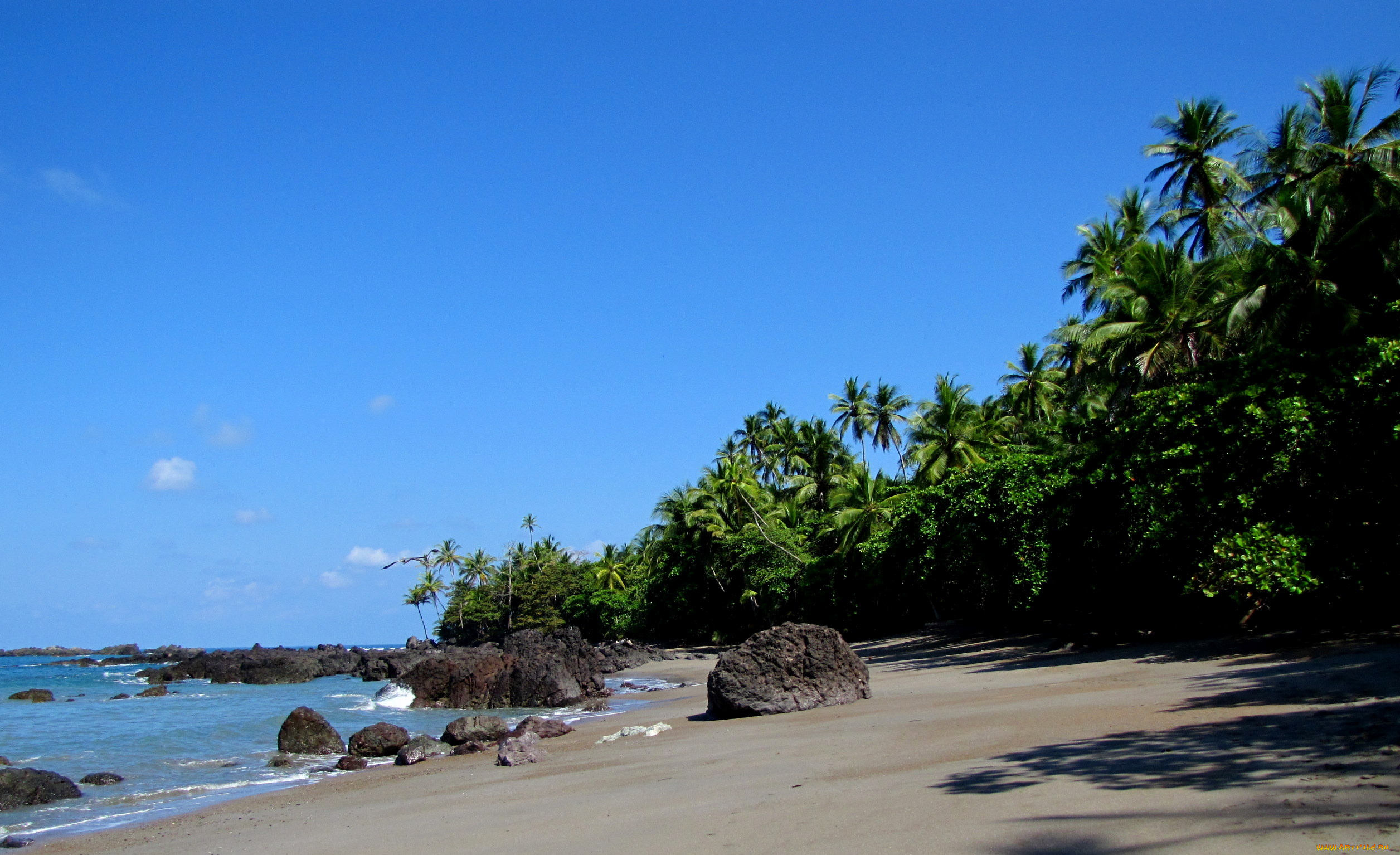 природа, тропики, costa, rica