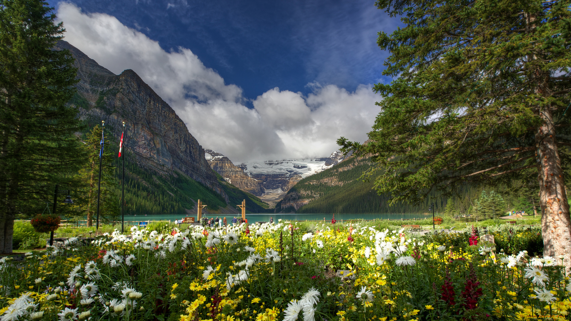 banff, national, park, canada, природа, пейзажи, горы, озеро, цветы, деревья, lake, louise, канада