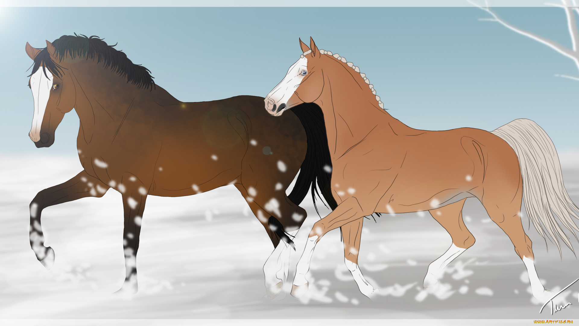 рисованные, животные, лошади, снег