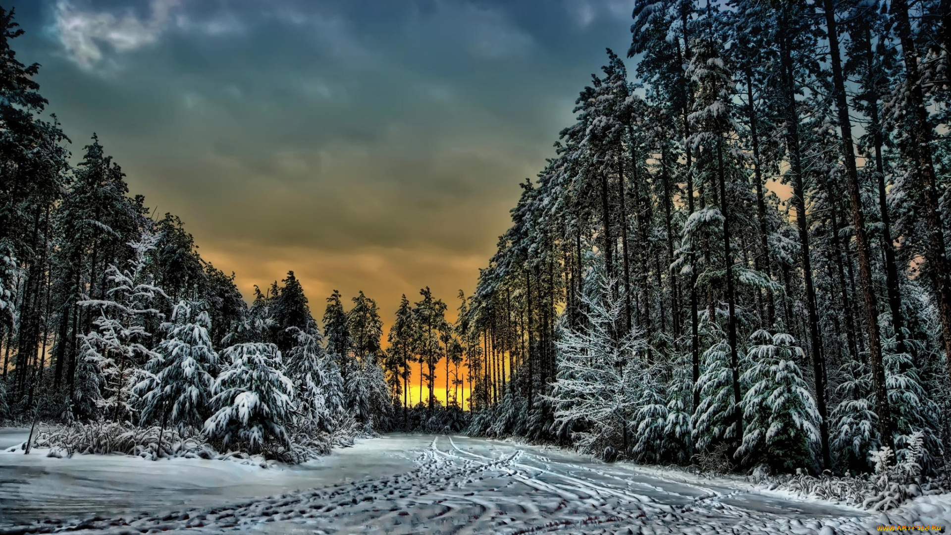 природа, зима, облака, закат, деревья, следы, канада, снег, лес, онтарио
