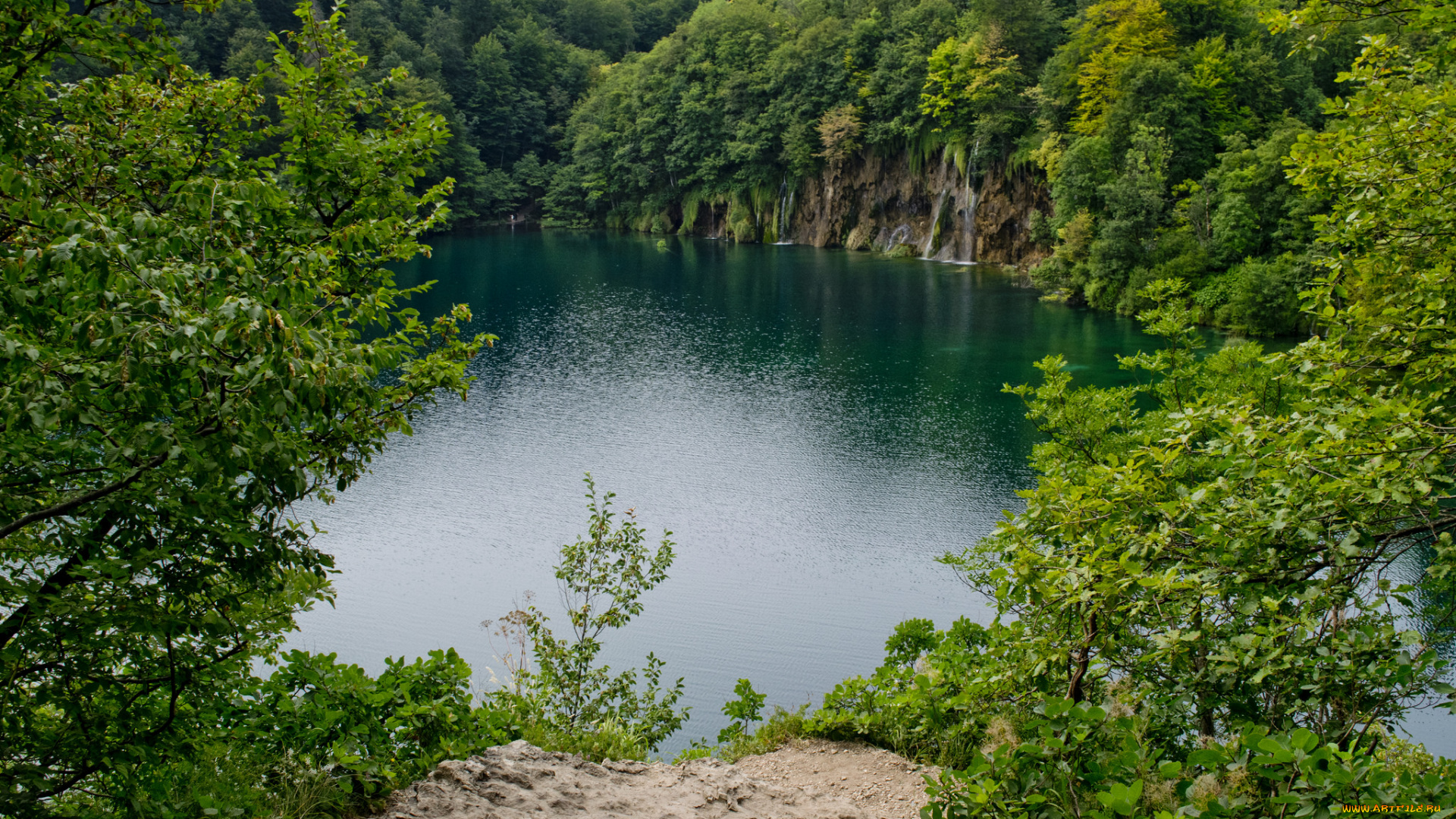 природа, реки, озера, лес, река