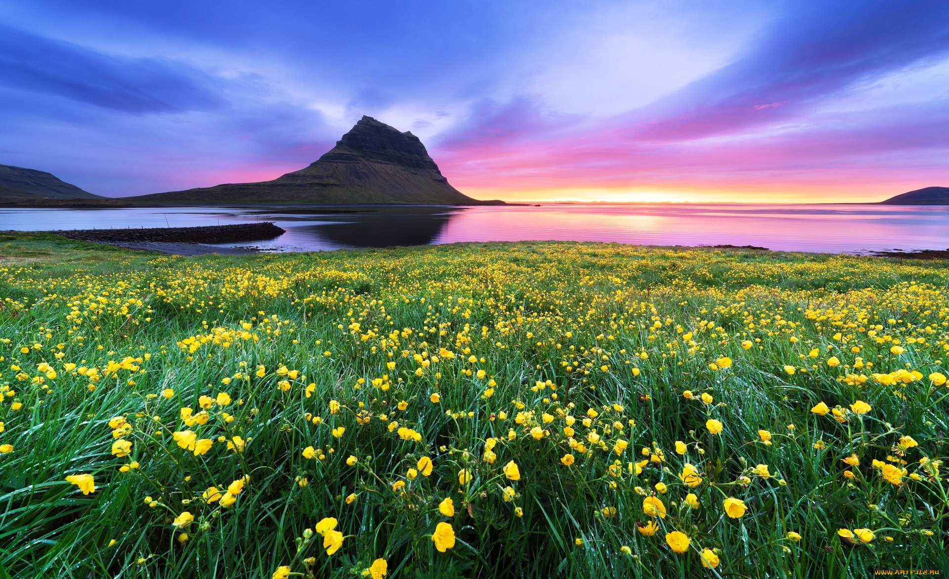 гора, киркьюфетль, , исландия, природа, побережье, горы, цветы, трава, луга, море, небо