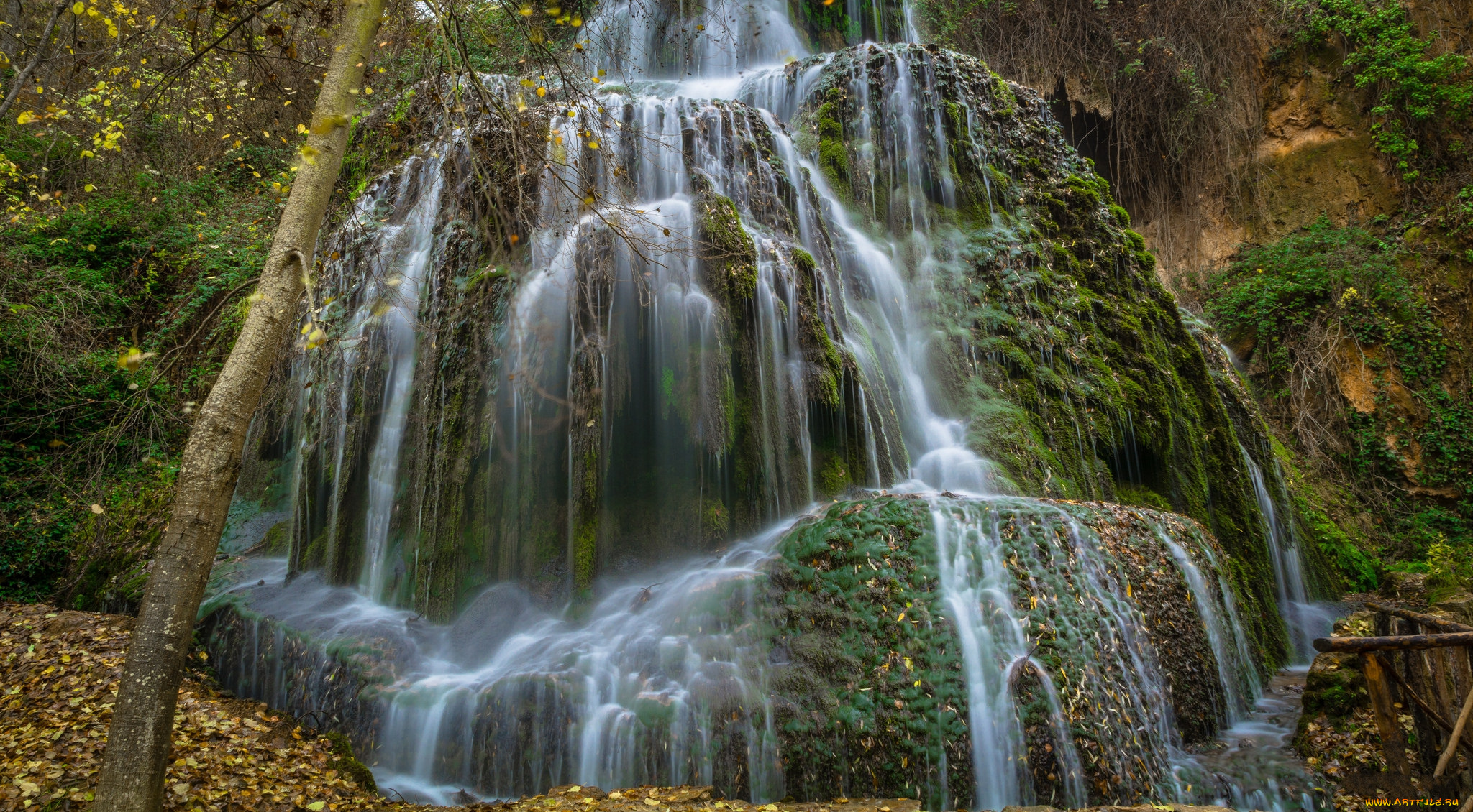 природа, водопады, водопад, река, лес