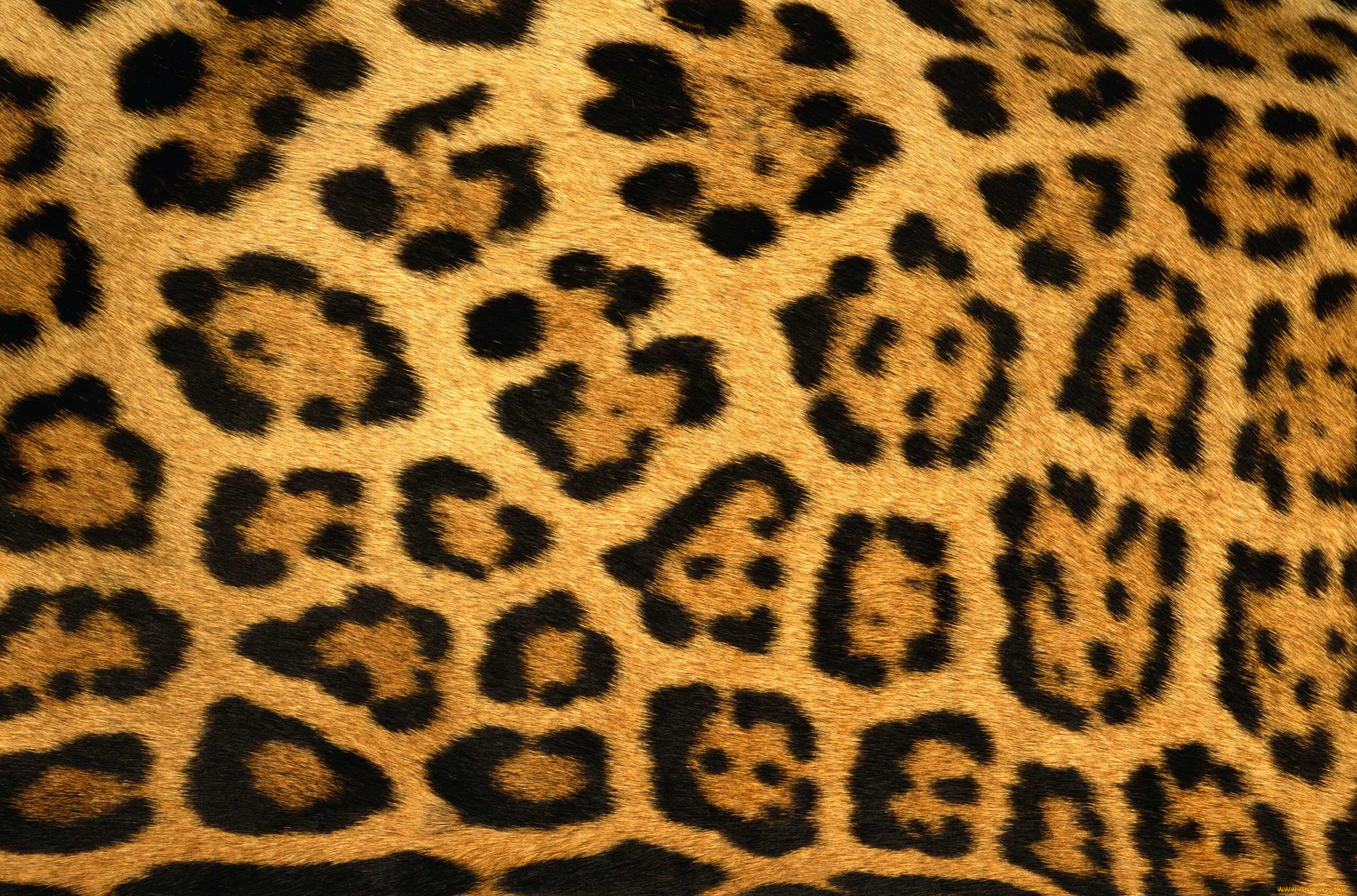 Леопардовый узор на a4