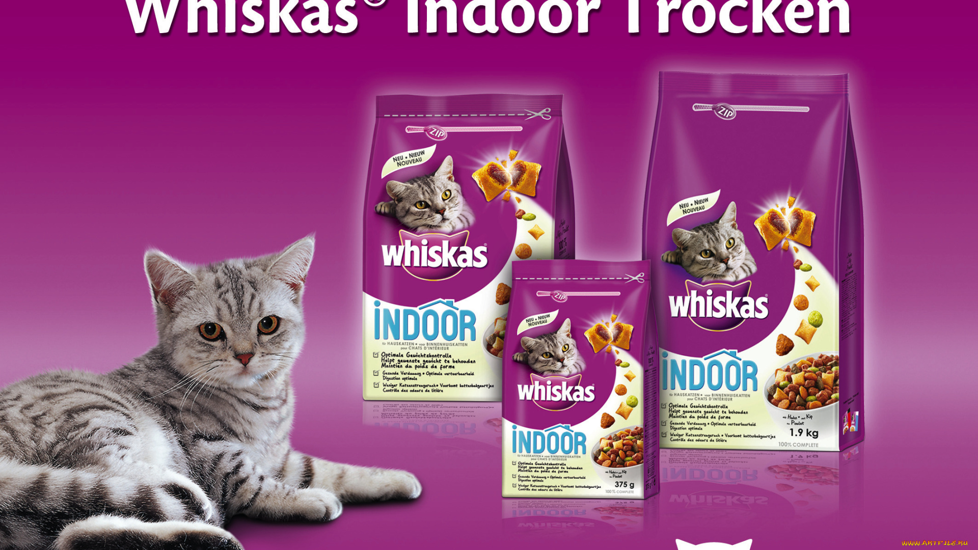 бренды, whiskas, корм