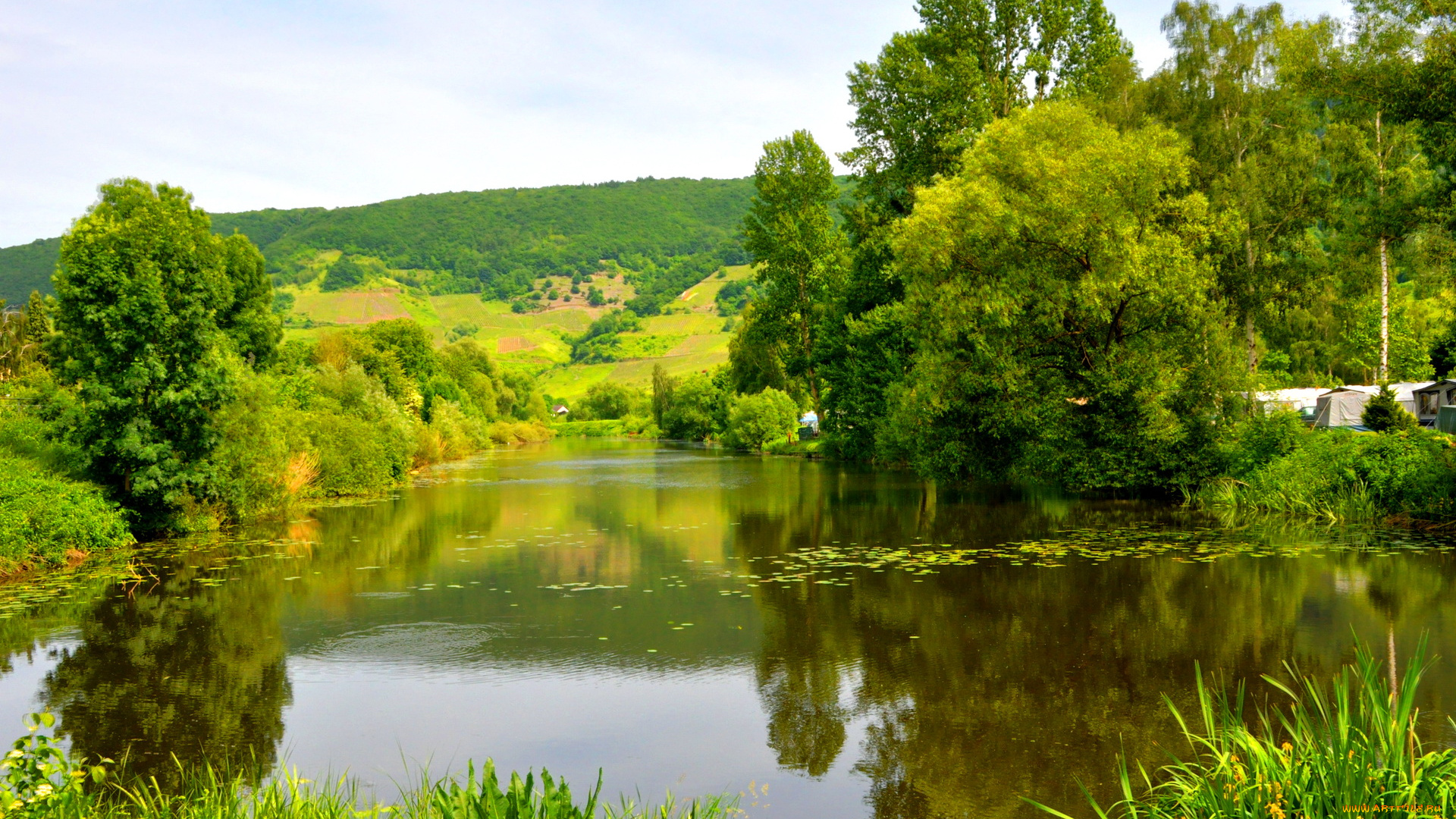 германия, мезених, moselle, природа, реки, озера, река