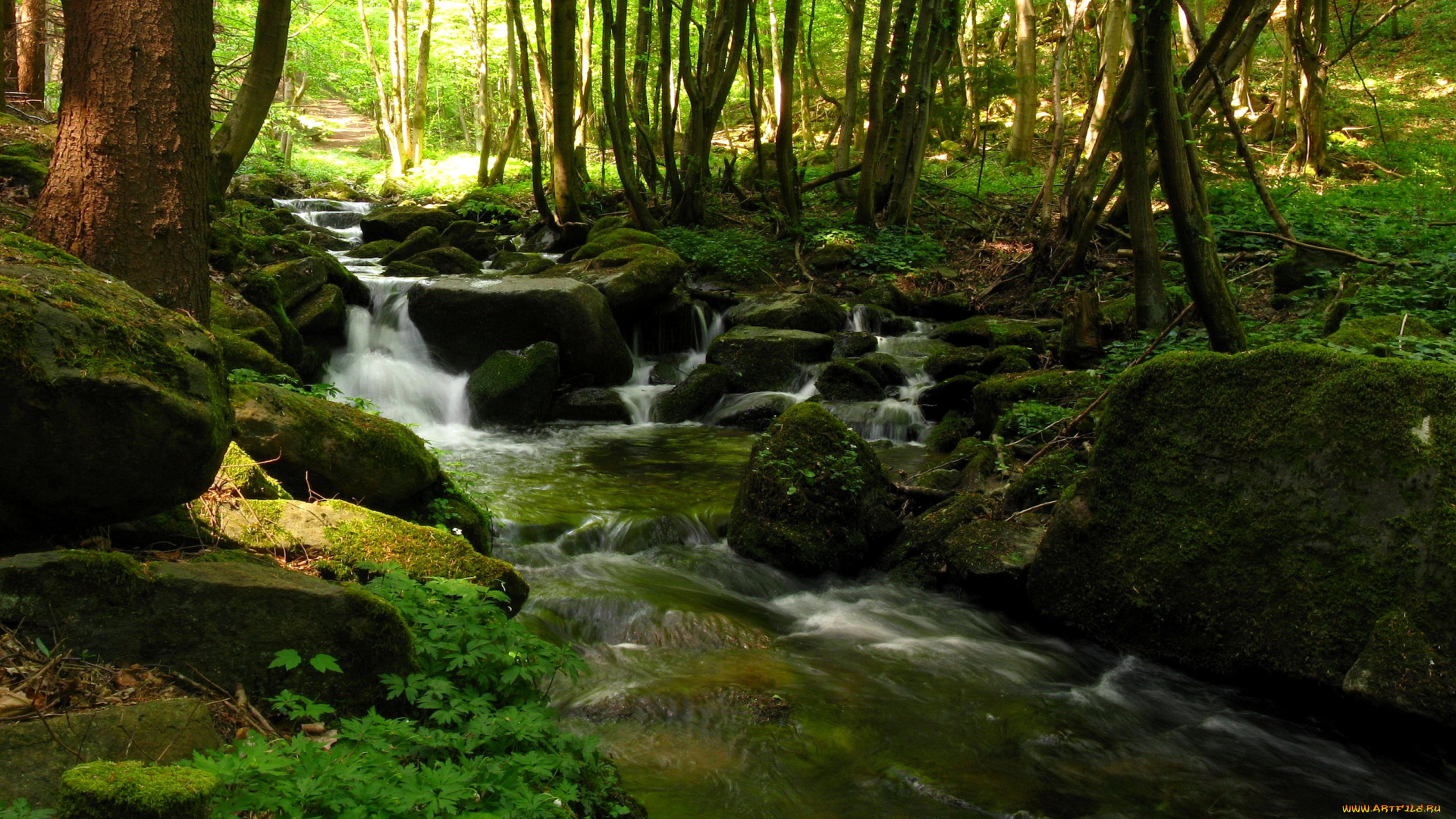 steinbachklamm, austria, природа, реки, озера, лес, водопад