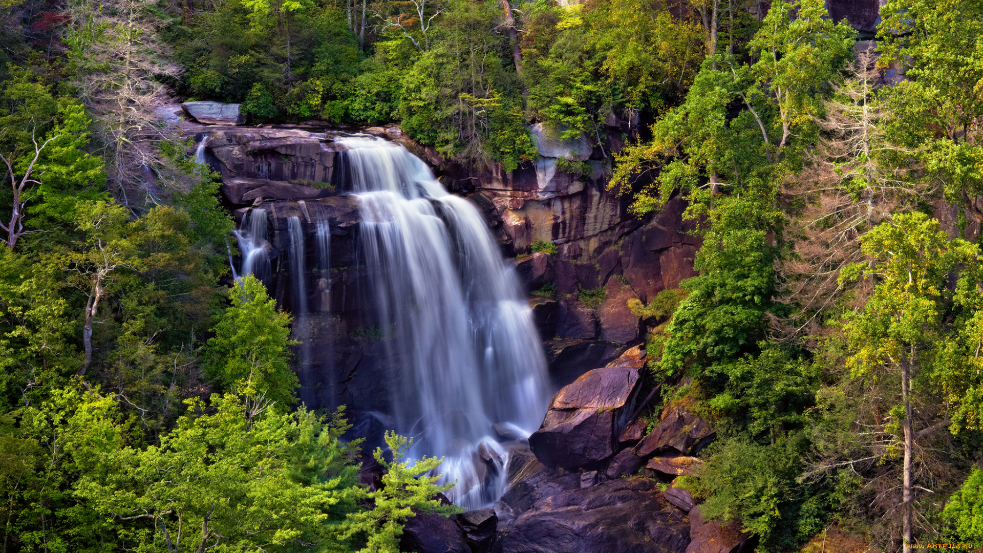whitewater, falls, природа, водопады, деревья, поток, скалы