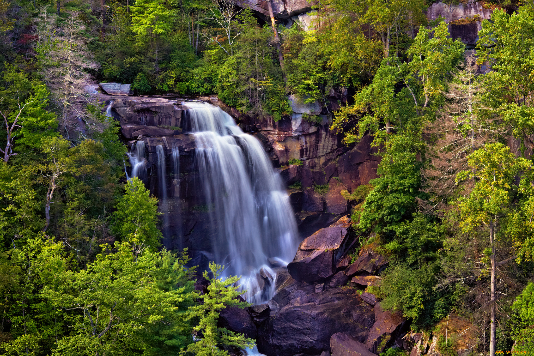 whitewater, falls, природа, водопады, деревья, поток, скалы