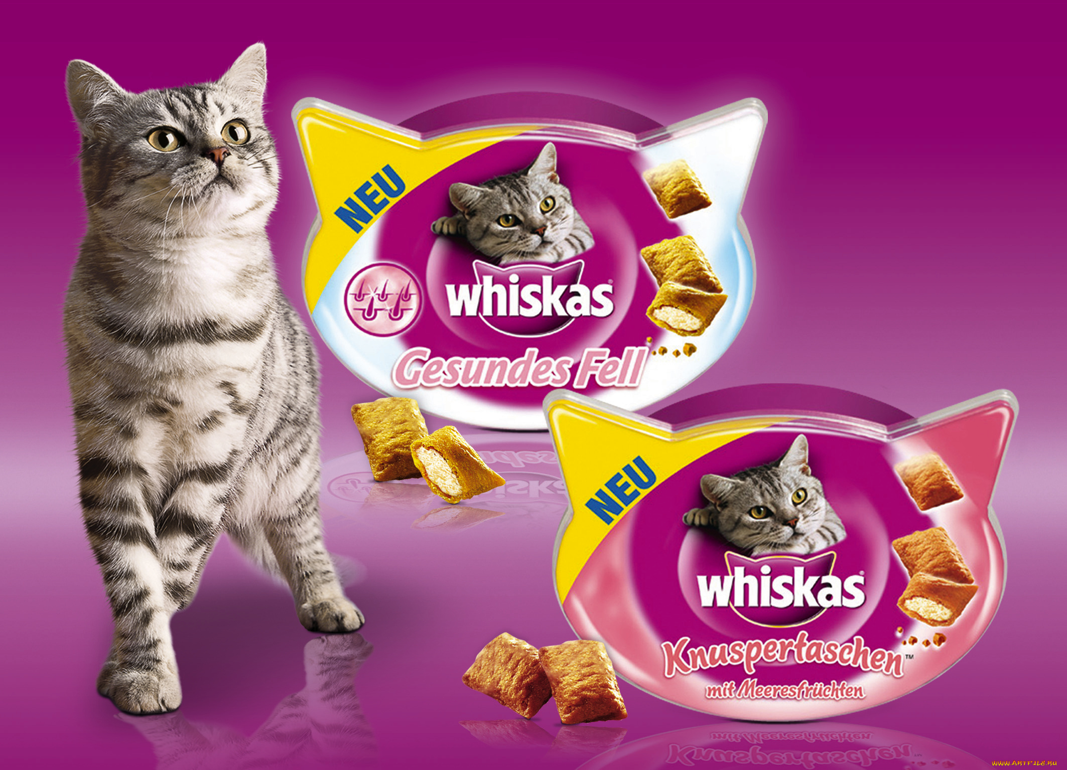 бренды, whiskas, корм