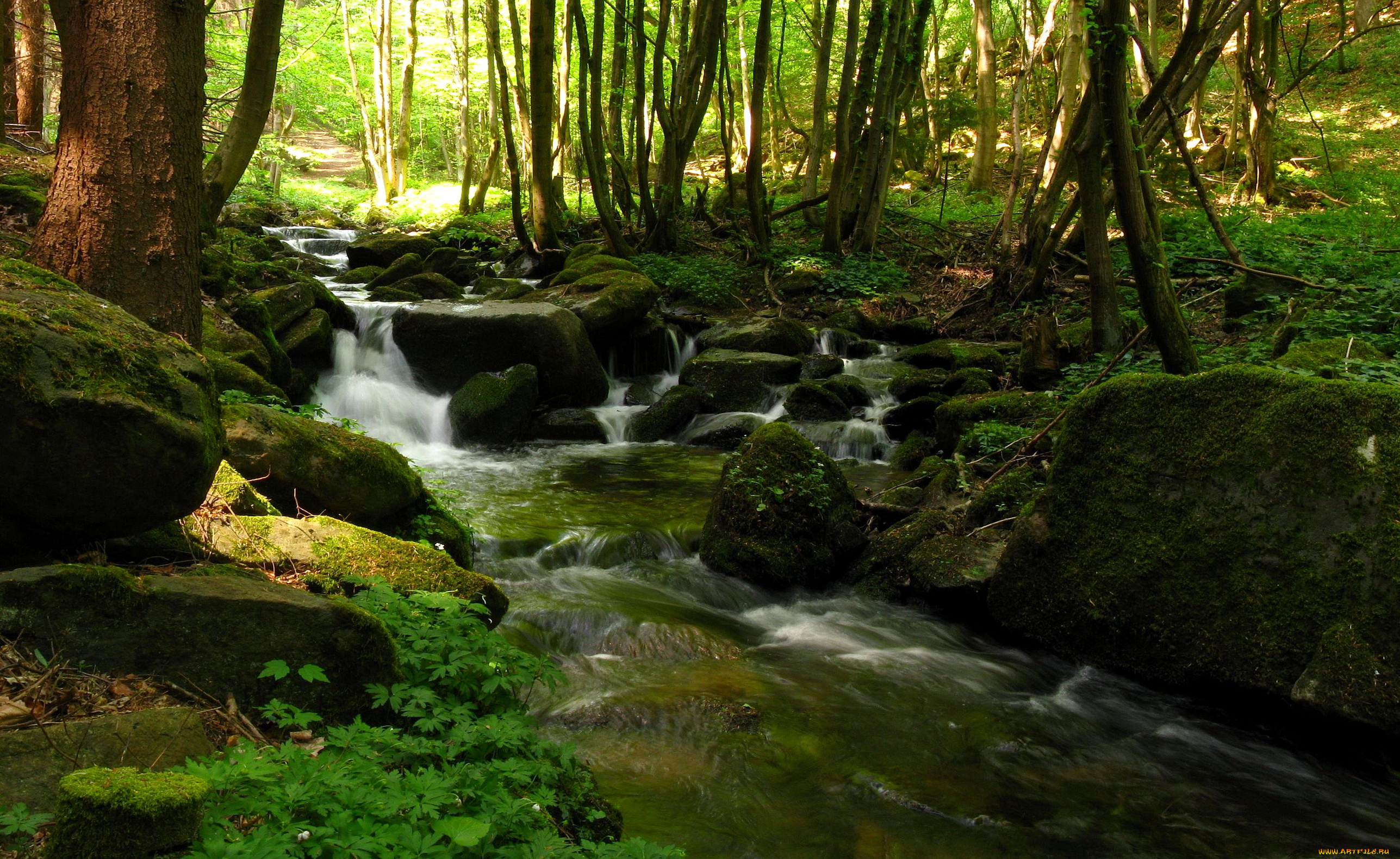 steinbachklamm, austria, природа, реки, озера, лес, водопад