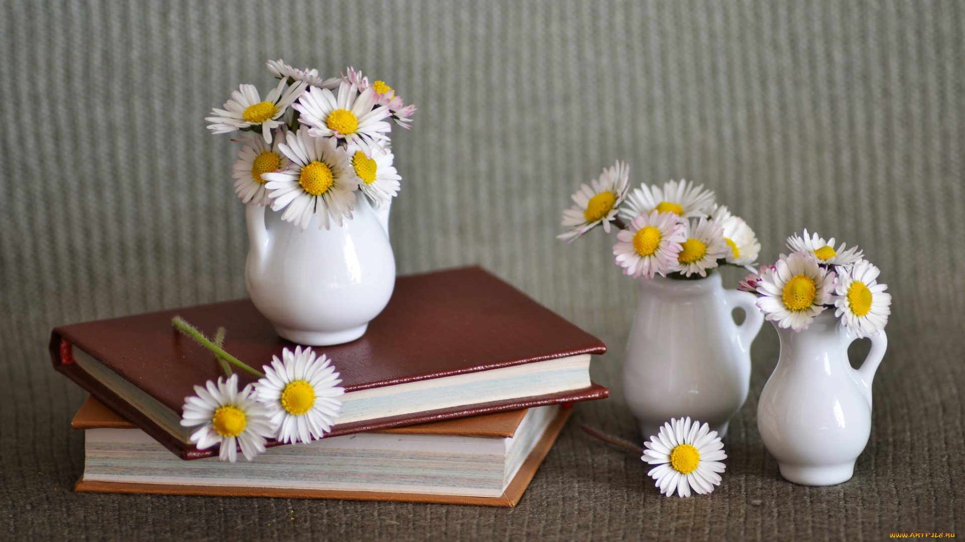 цветы, ромашки, ваза, книги
