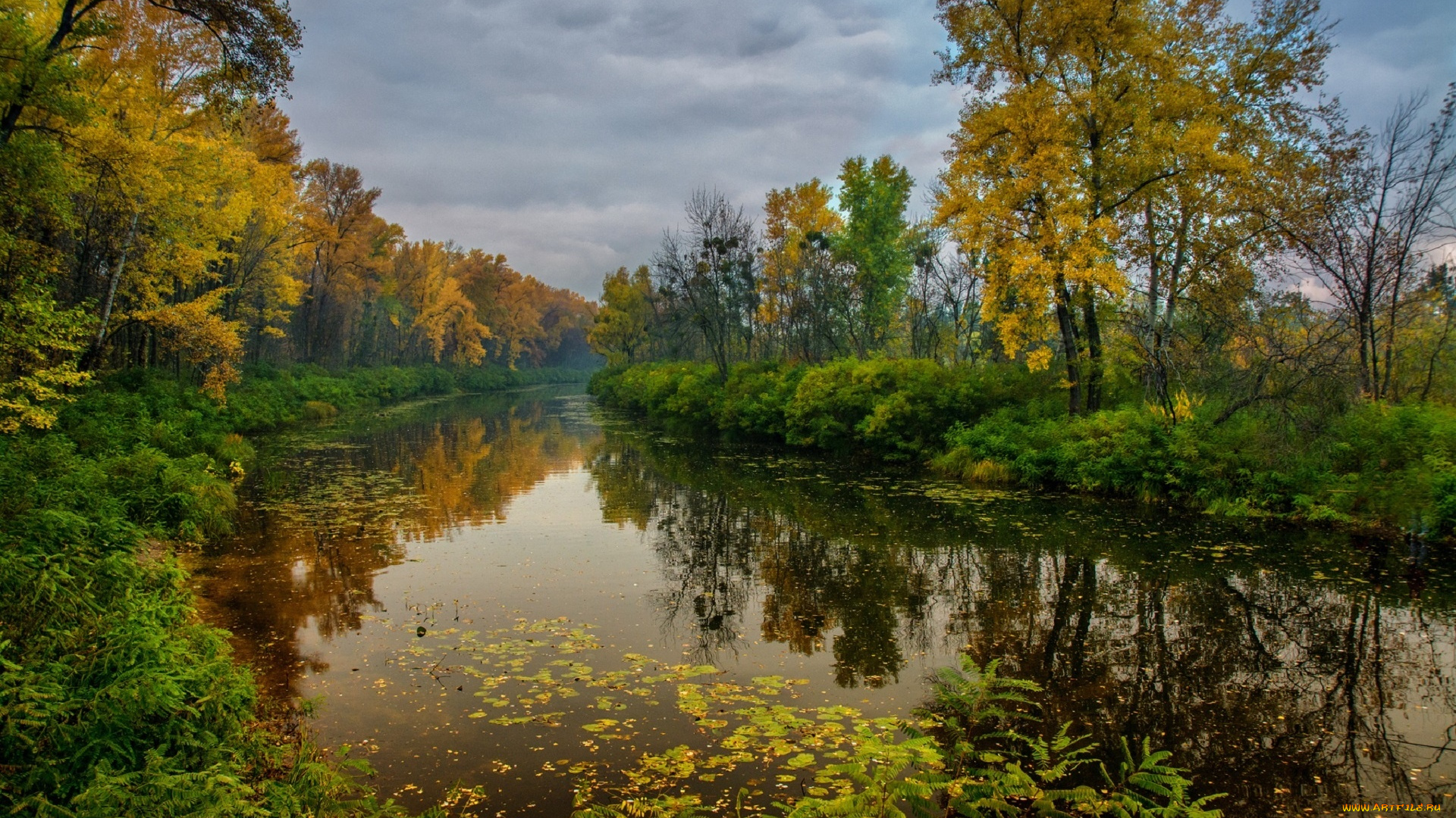 природа, реки, озера, река, осенние, листья, лес, деревья, михаил, msh, осень, берег