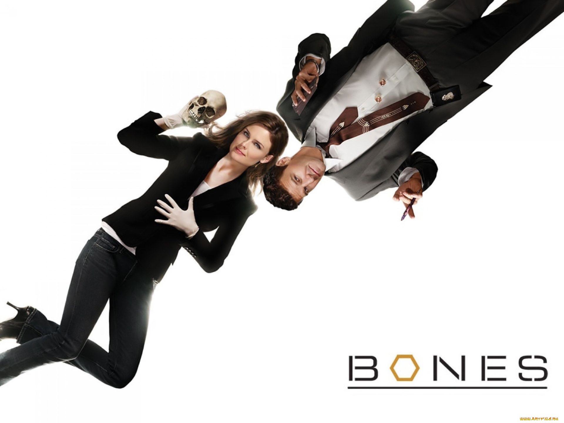 Bones series
