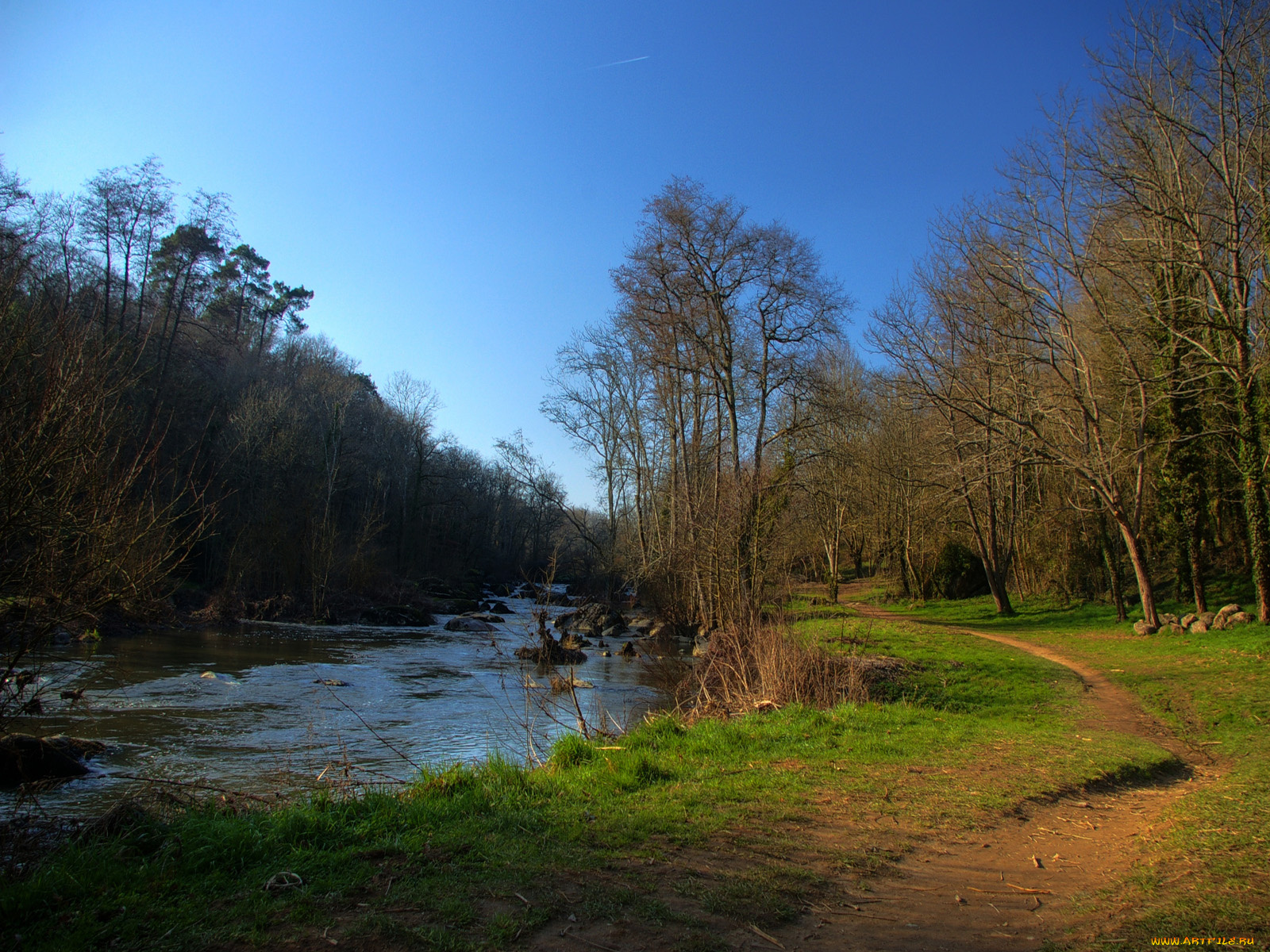 природа, реки, озера, лес, тропинка, вода