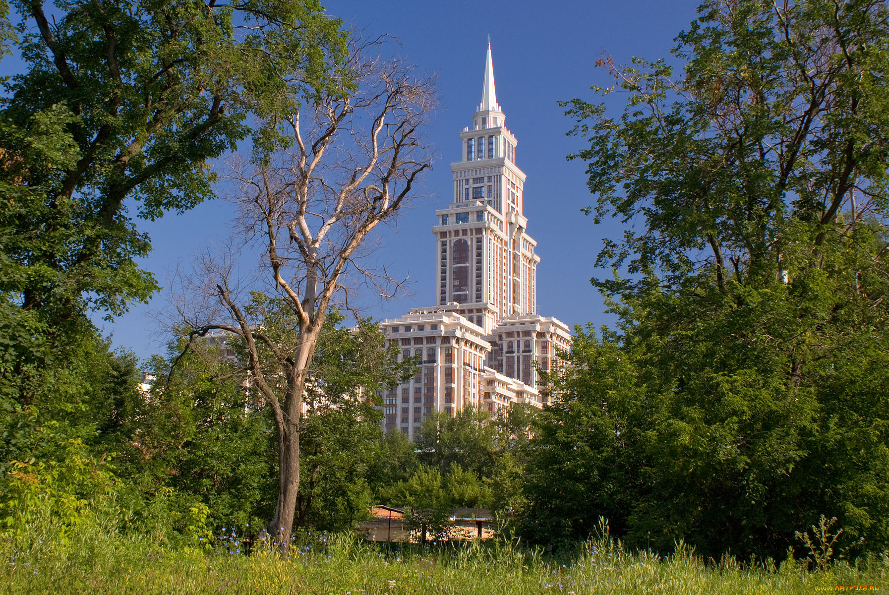 города, здания, дома, засохшее, дерево, дом, деревья, небо