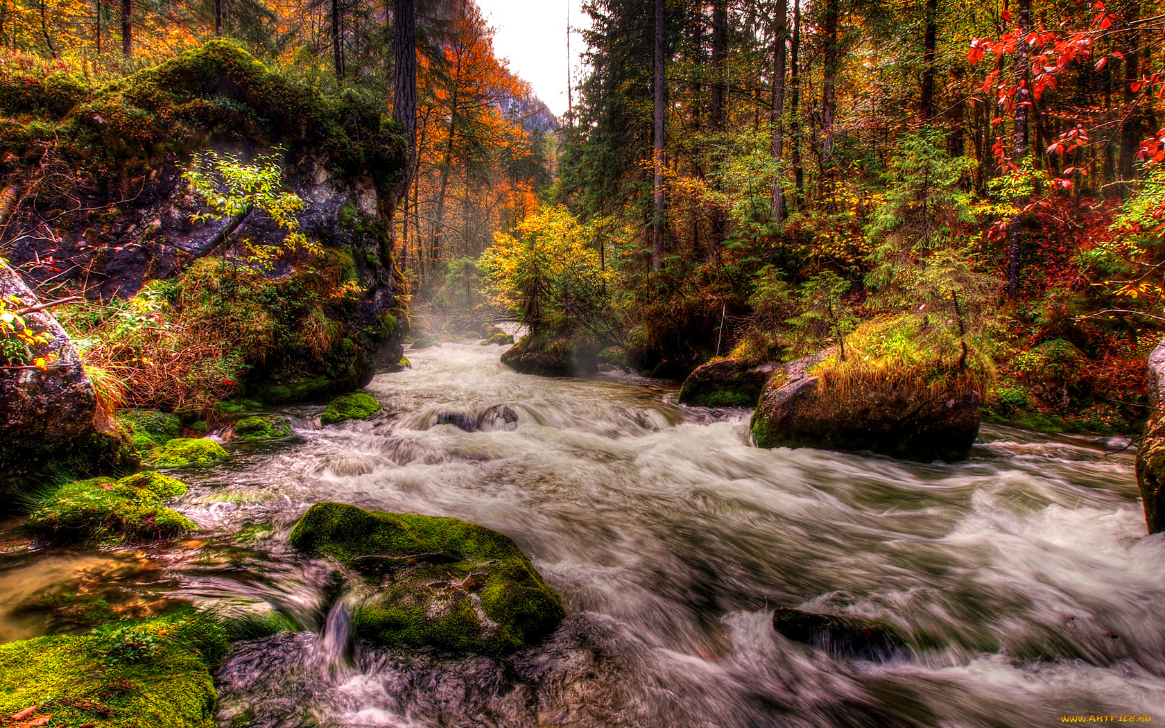 autumn, природа, реки, озера, поток, осень, река, лес