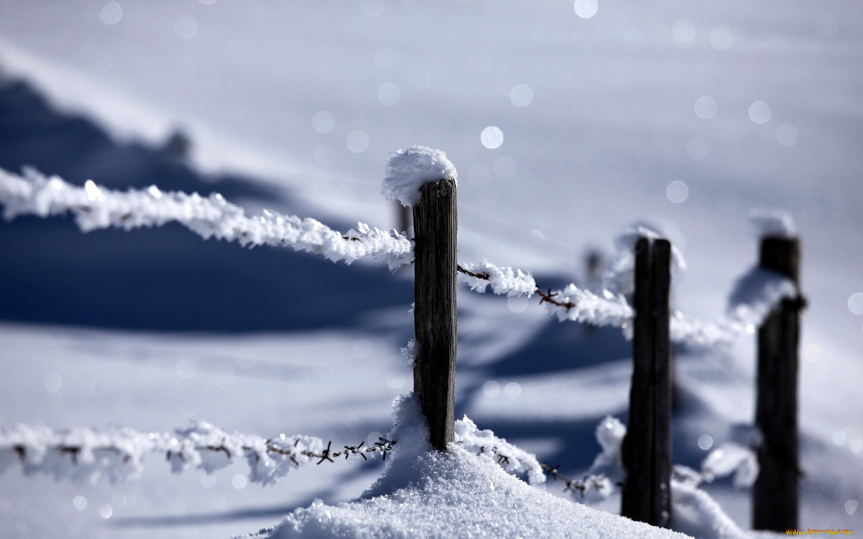 winter, природа, зима, ледяные, иглы, проволока, снег, забор