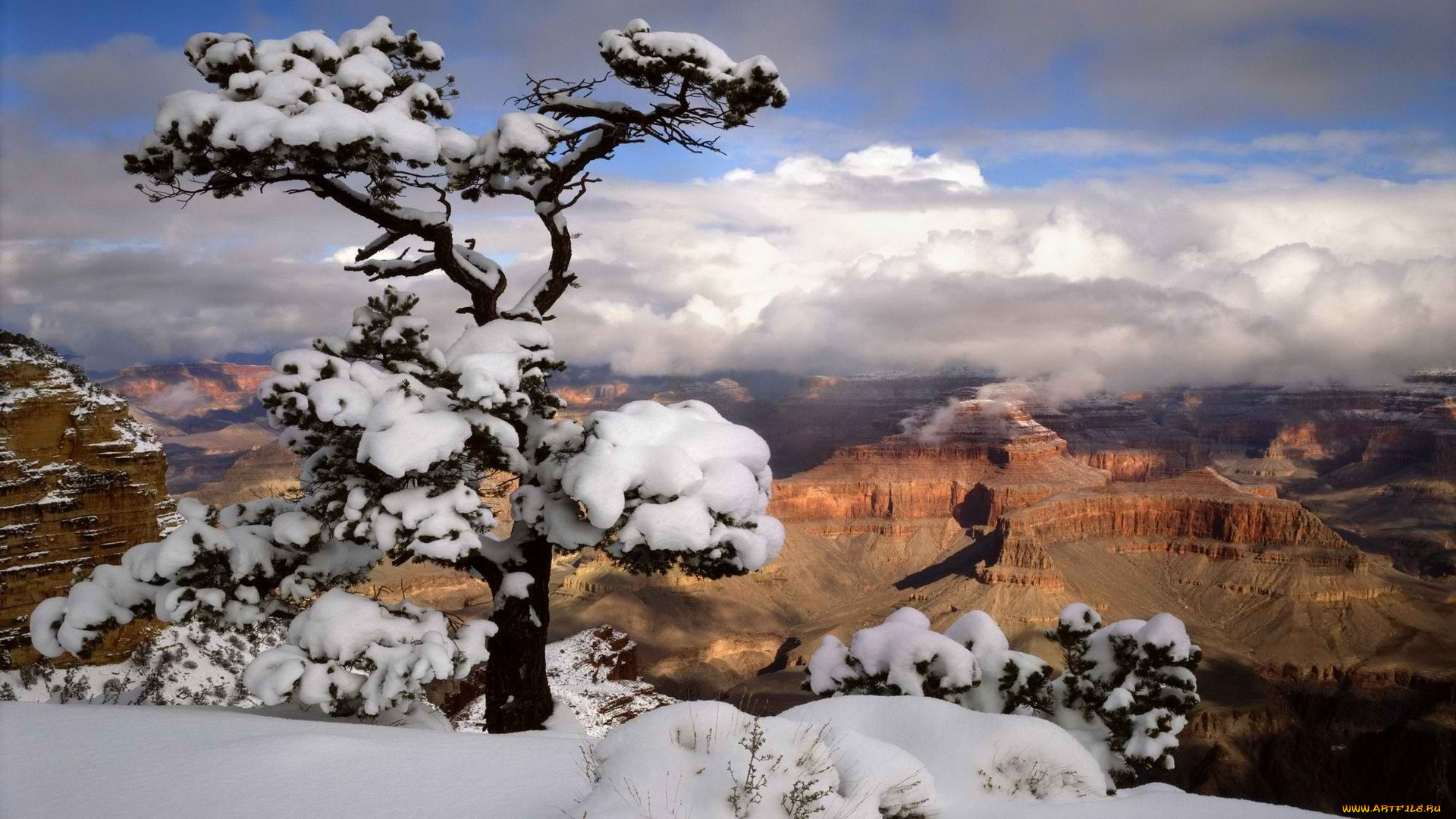 snowy, canyons, природа, зима, каньон, горы, снег, дерево